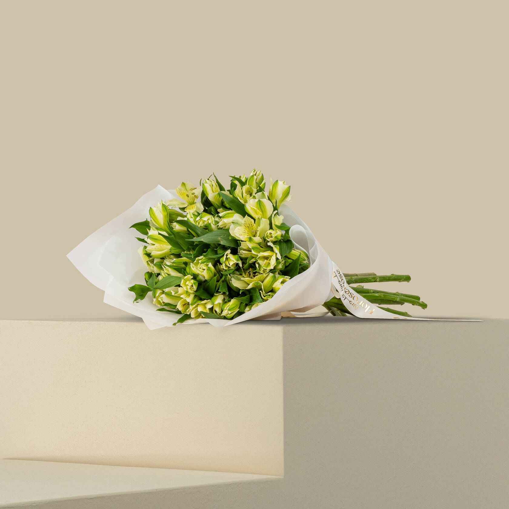 White Alstroemeria Bouquet White Alstroemeria Bouquet