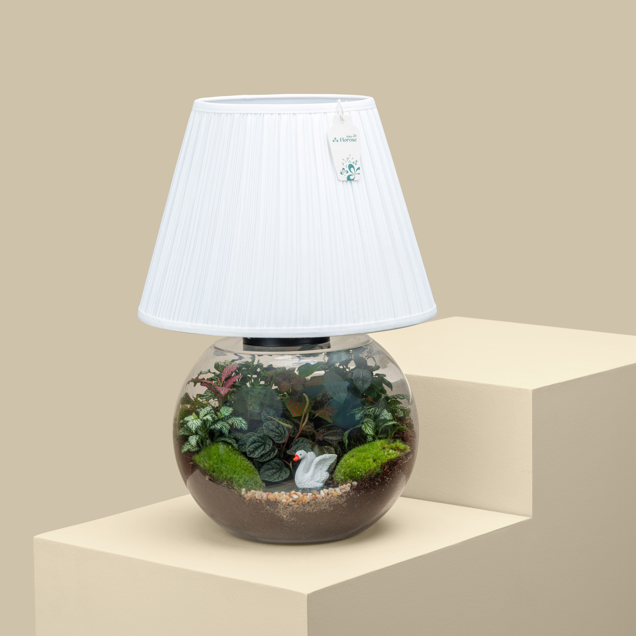 Bonsai Lake Terrarium Lamp | Large Bonsai Lake Terrarium Lamp | Large