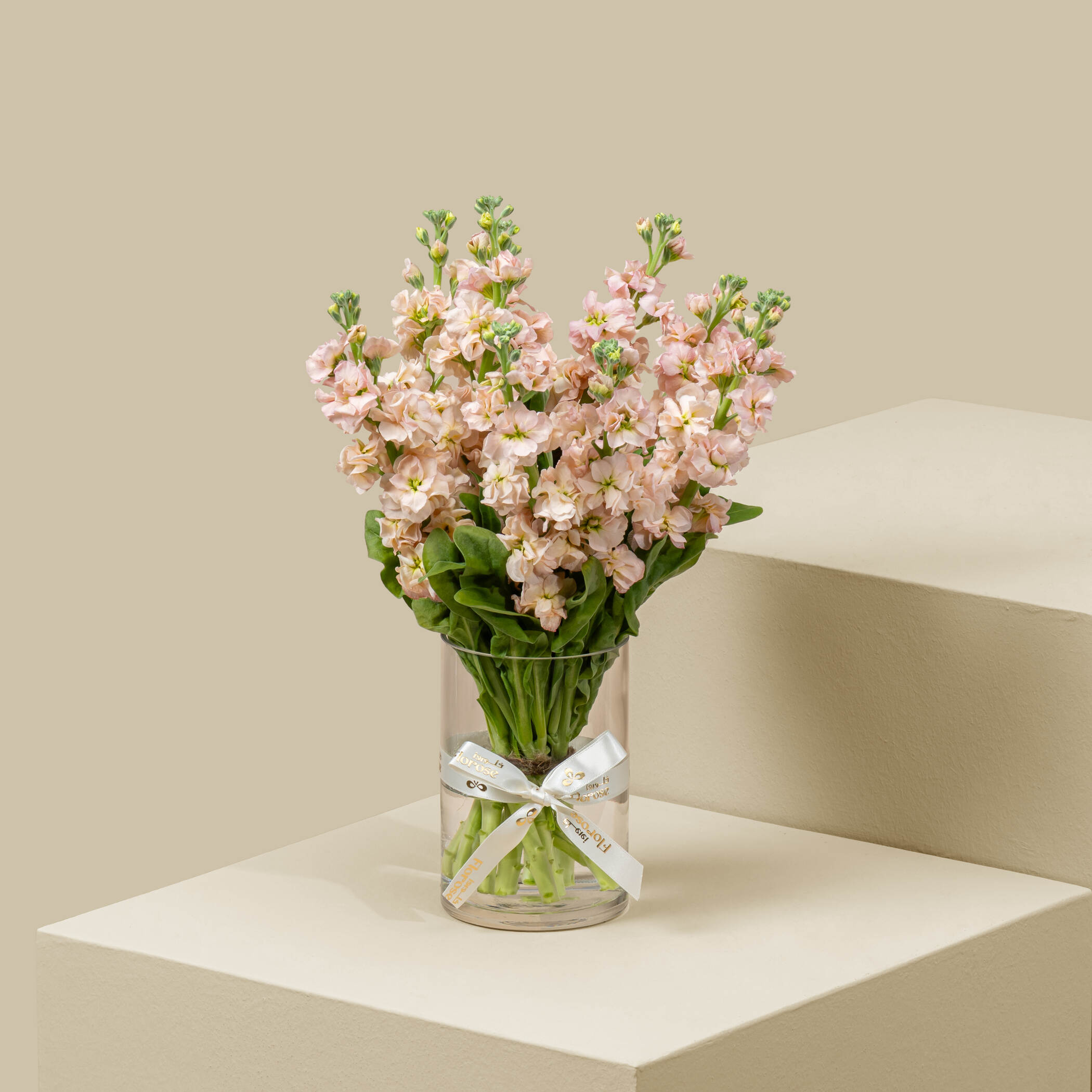 Peach Matthiola Vase Peach Matthiola Vase