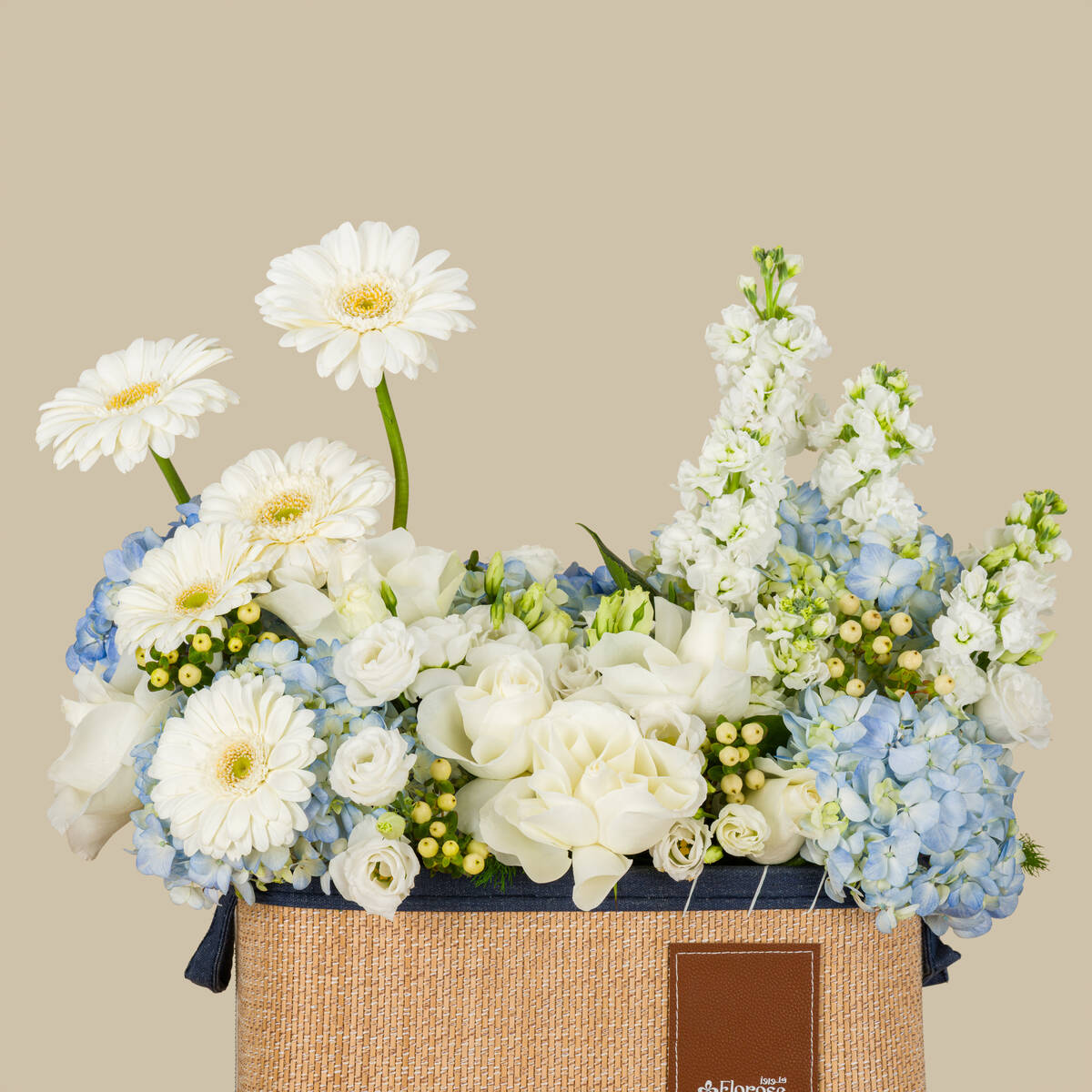 Rain Cloud Basket Rain Cloud Basket
