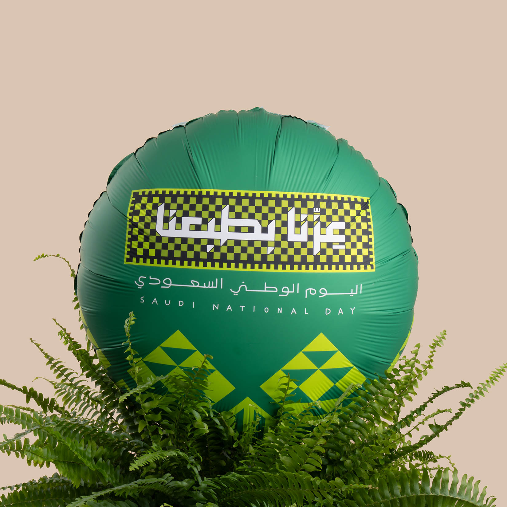 Boston Fern Plant | Saudi National Day Balloon Boston Fern Plant | Saudi National Day Balloon