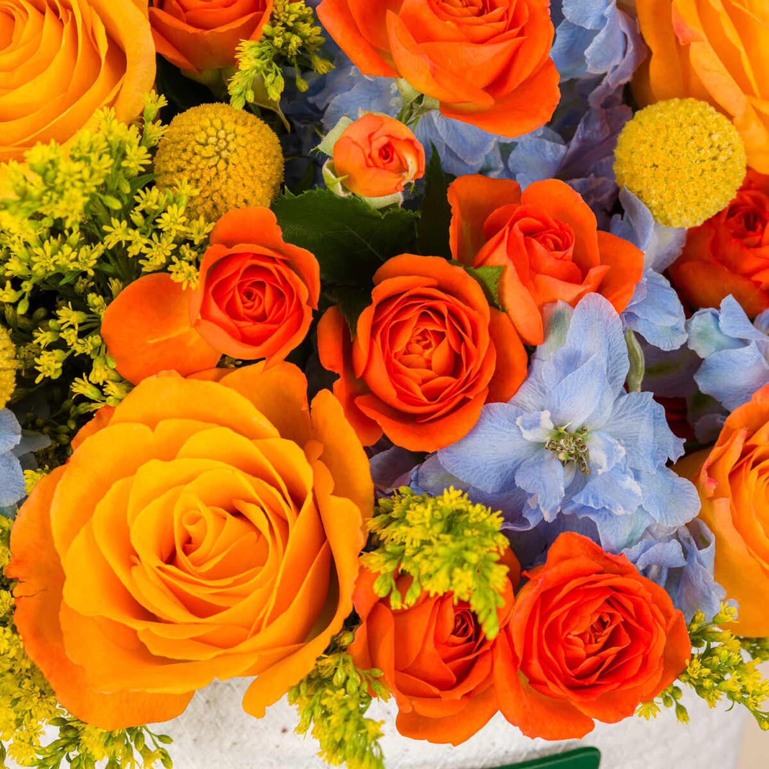 Joyful Roses Basket Joyful Roses Basket