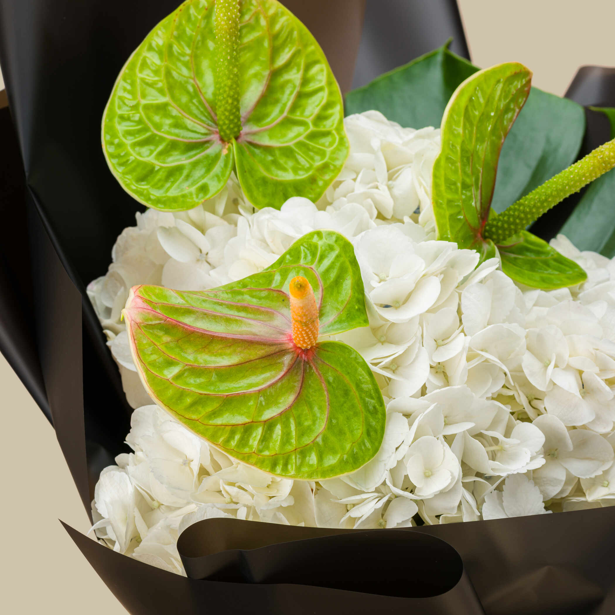 Mont Blanc Explorer EDP | Ivory white bouquet Mont Blanc Explorer EDP | Ivory white bouquet