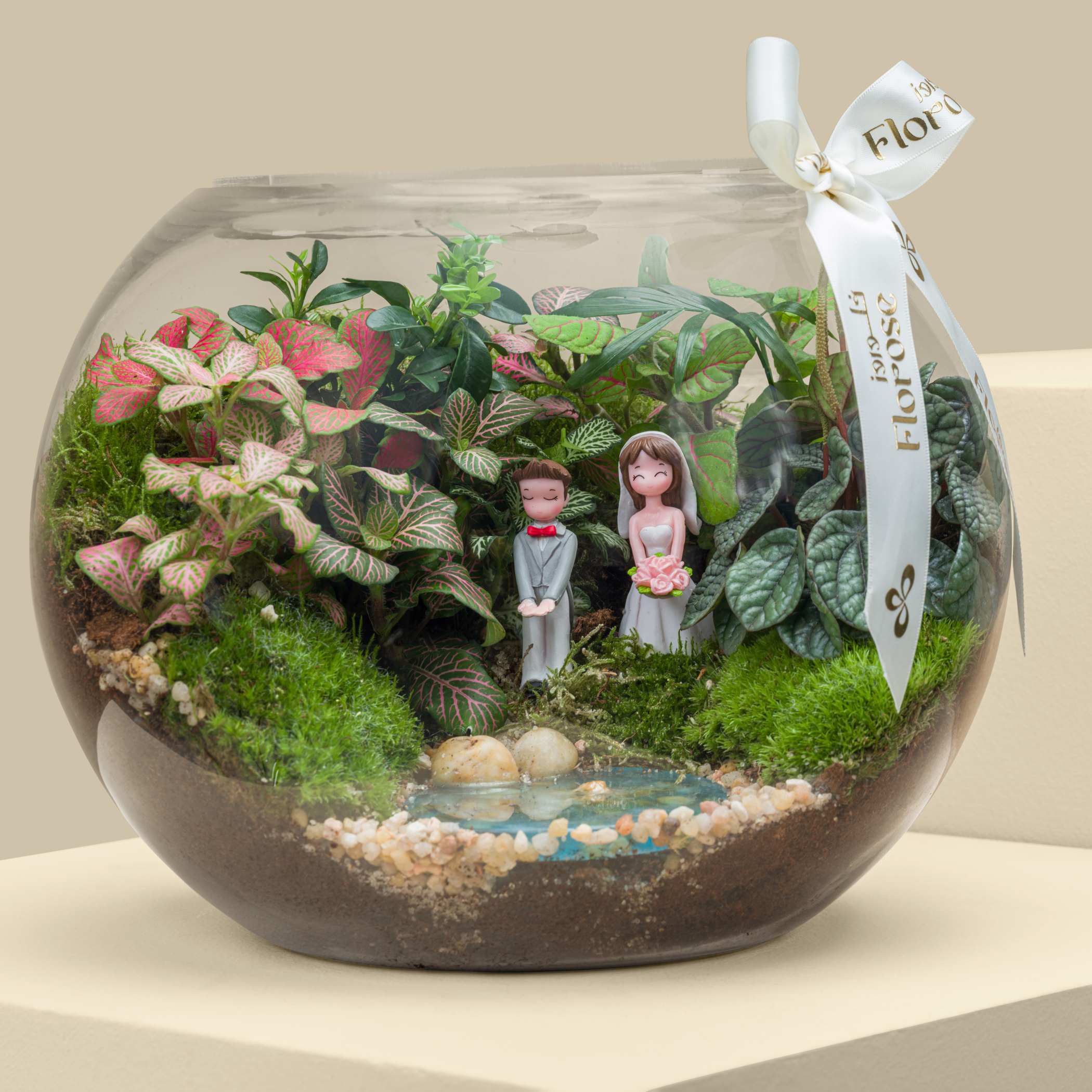 Terrarium Married Couple Garden | Large Terrarium Married Couple Garden | Large