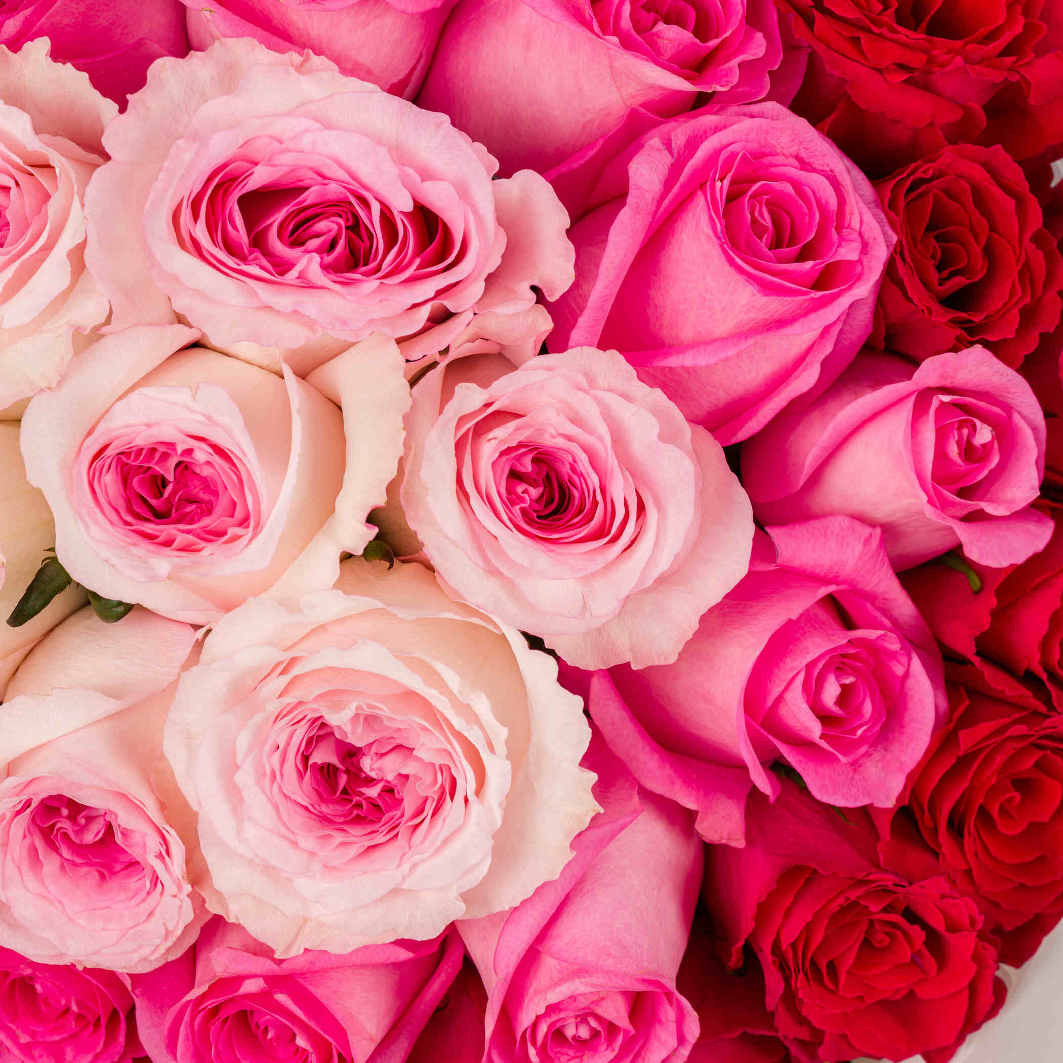 Tenderness Arc Bouquet Tenderness Arc Bouquet