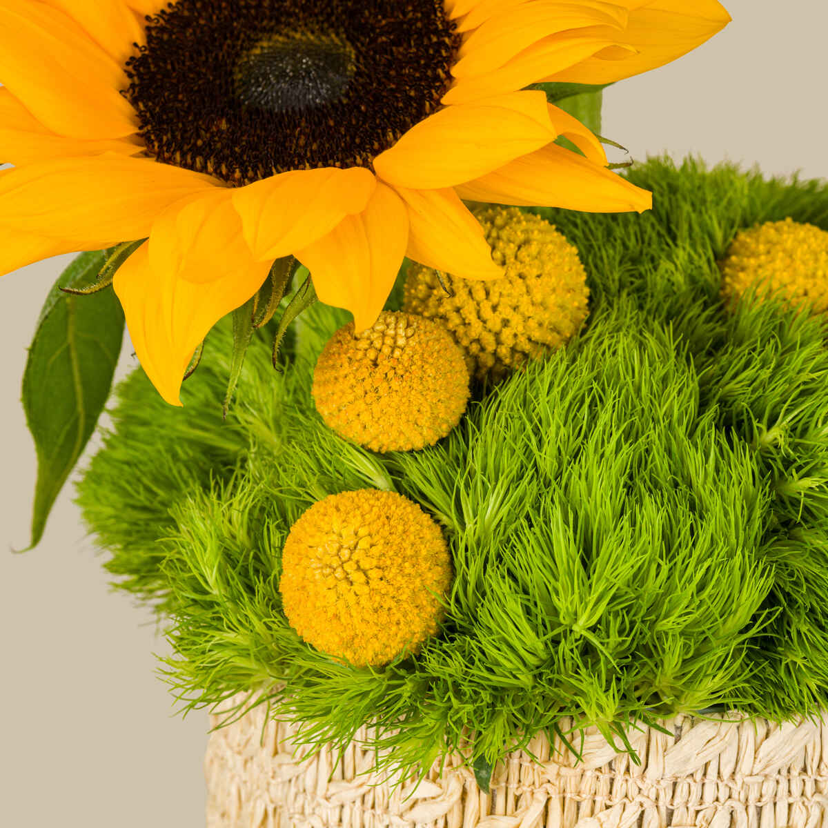 Sunrise Basket Sunrise Basket