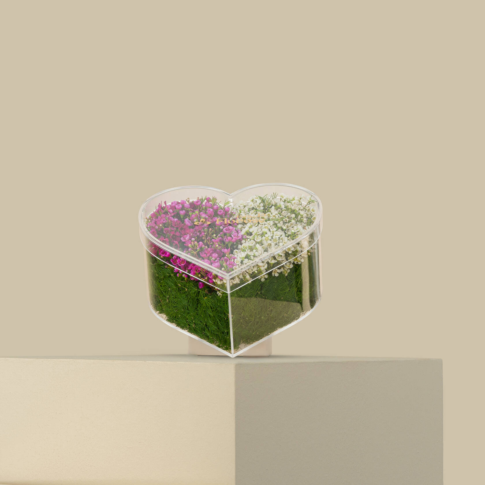 Acrylic Box Dreamy Heart Acrylic Box Dreamy Heart