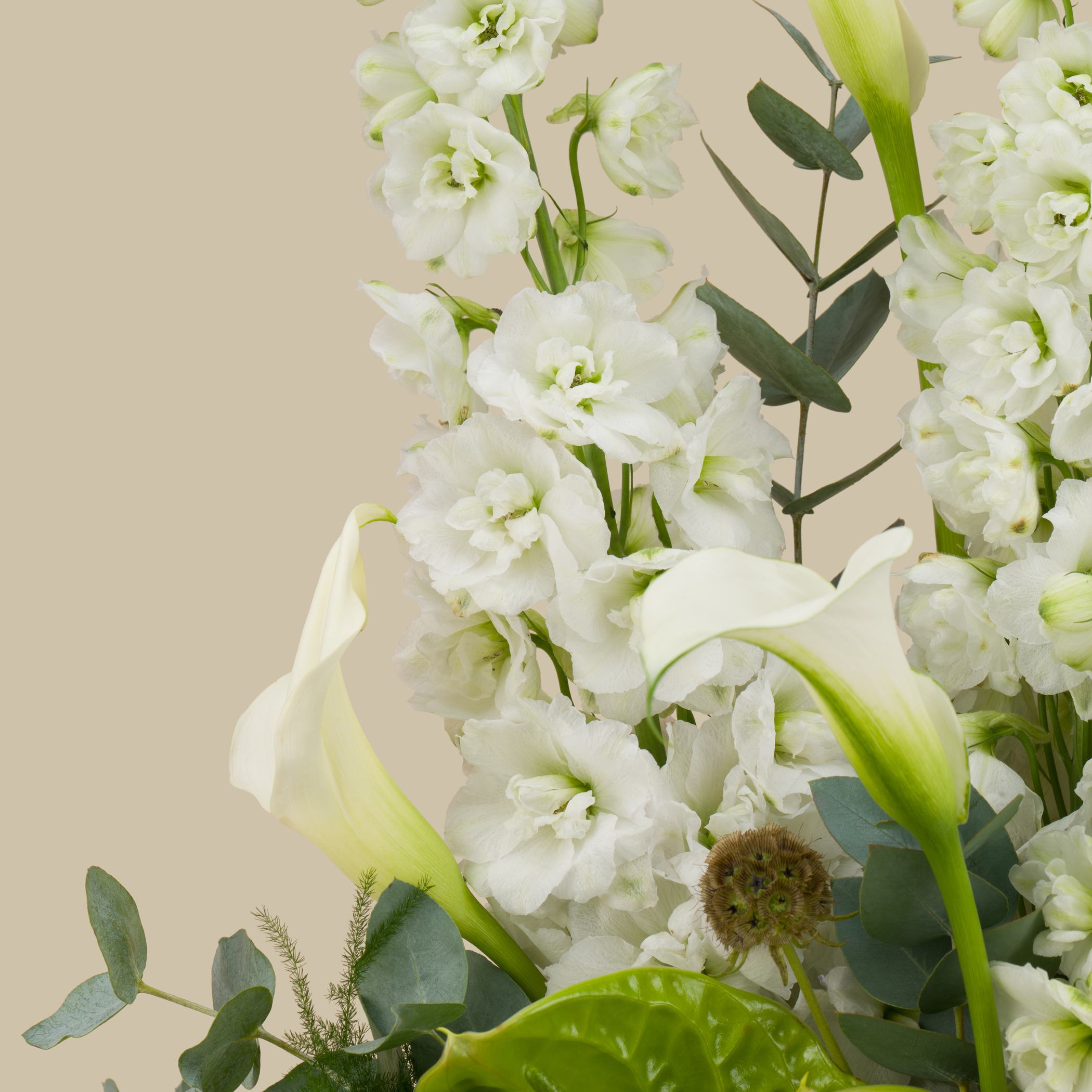 Soft Feelings Vase Soft Feelings Vase