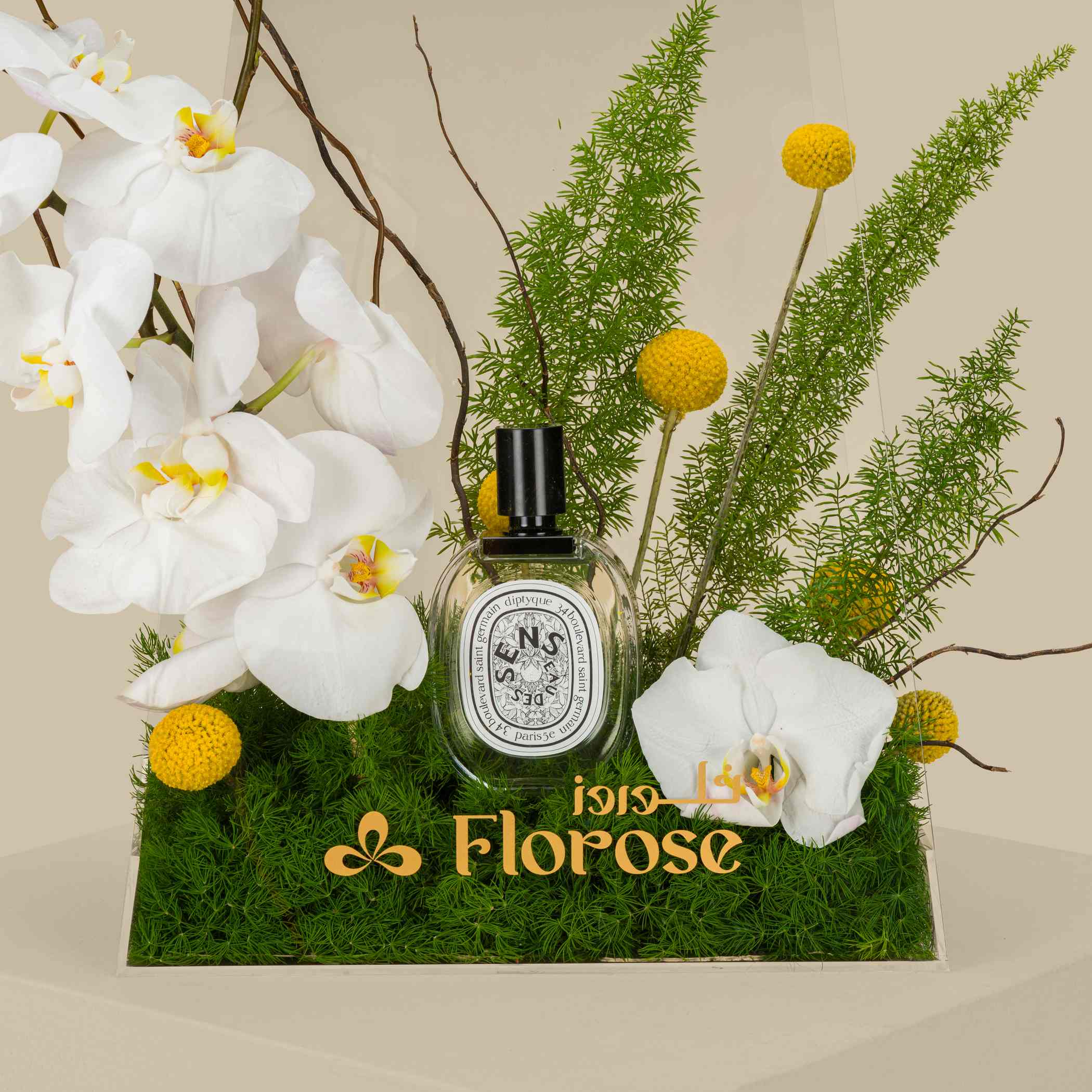 عطر أوه دو سينس ديبتيك | حقيبة أكريلك النظرة البريئة عطر أوه دو سينس ديبتيك | حقيبة أكريلك النظرة البريئة