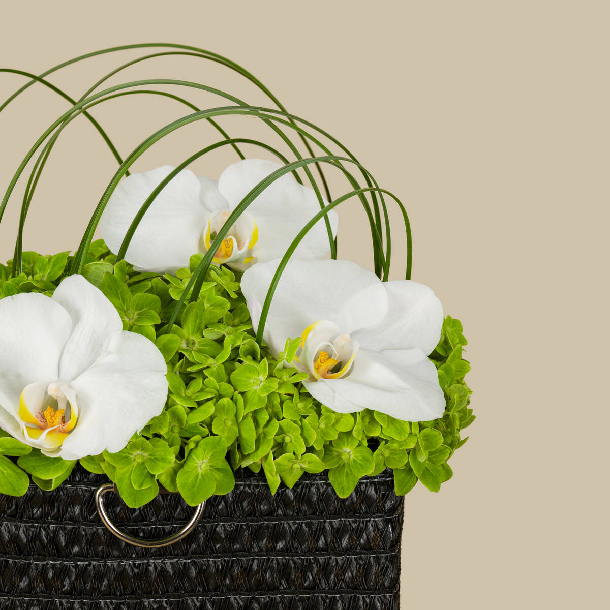 Natural Serenity Basket Natural Serenity Basket