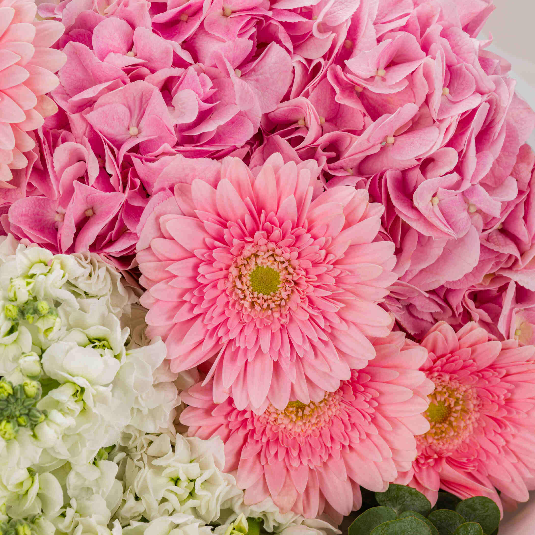 Pink Flamingo Bouquet Pink Flamingo Bouquet
