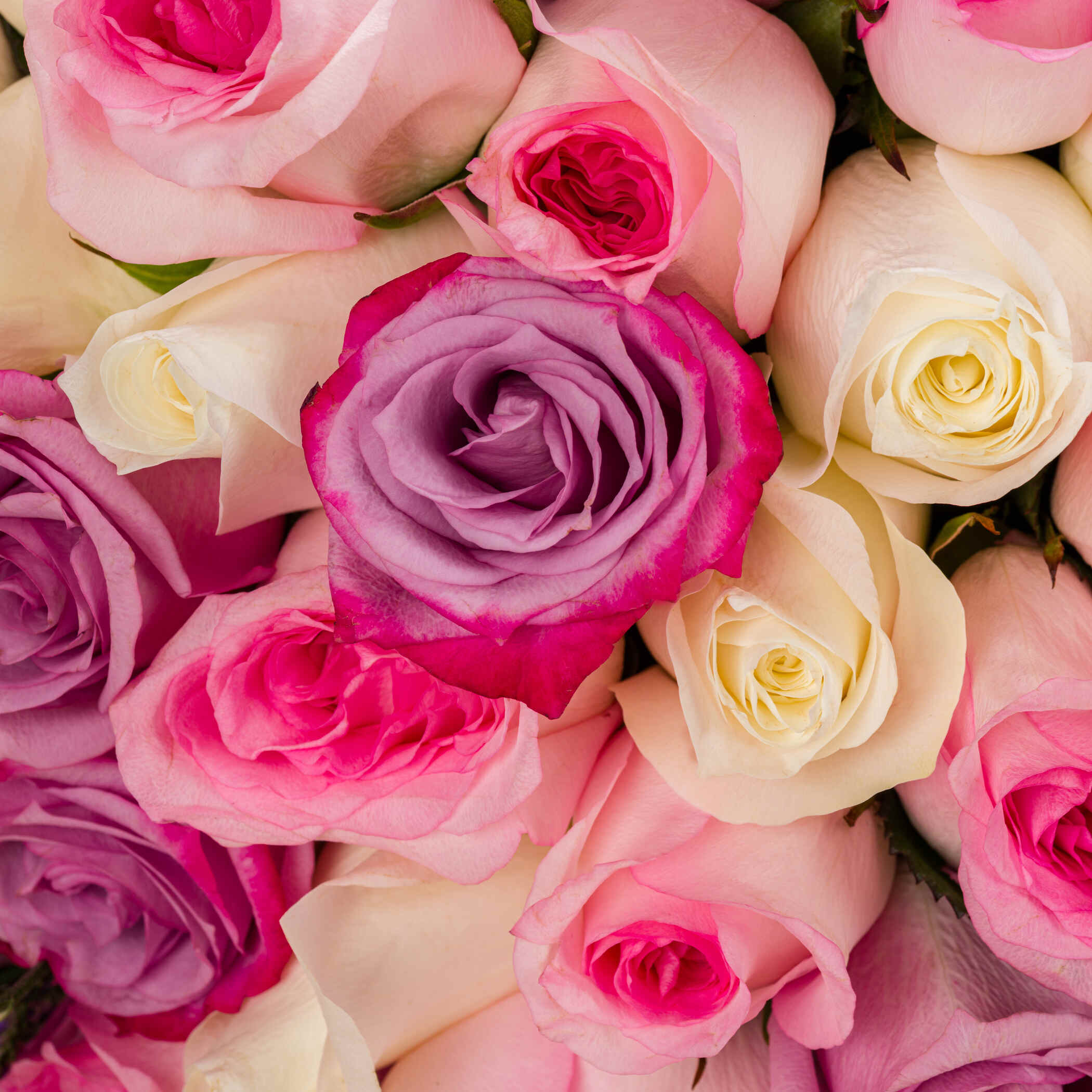 Pink Joy Bouquet Pink Joy Bouquet