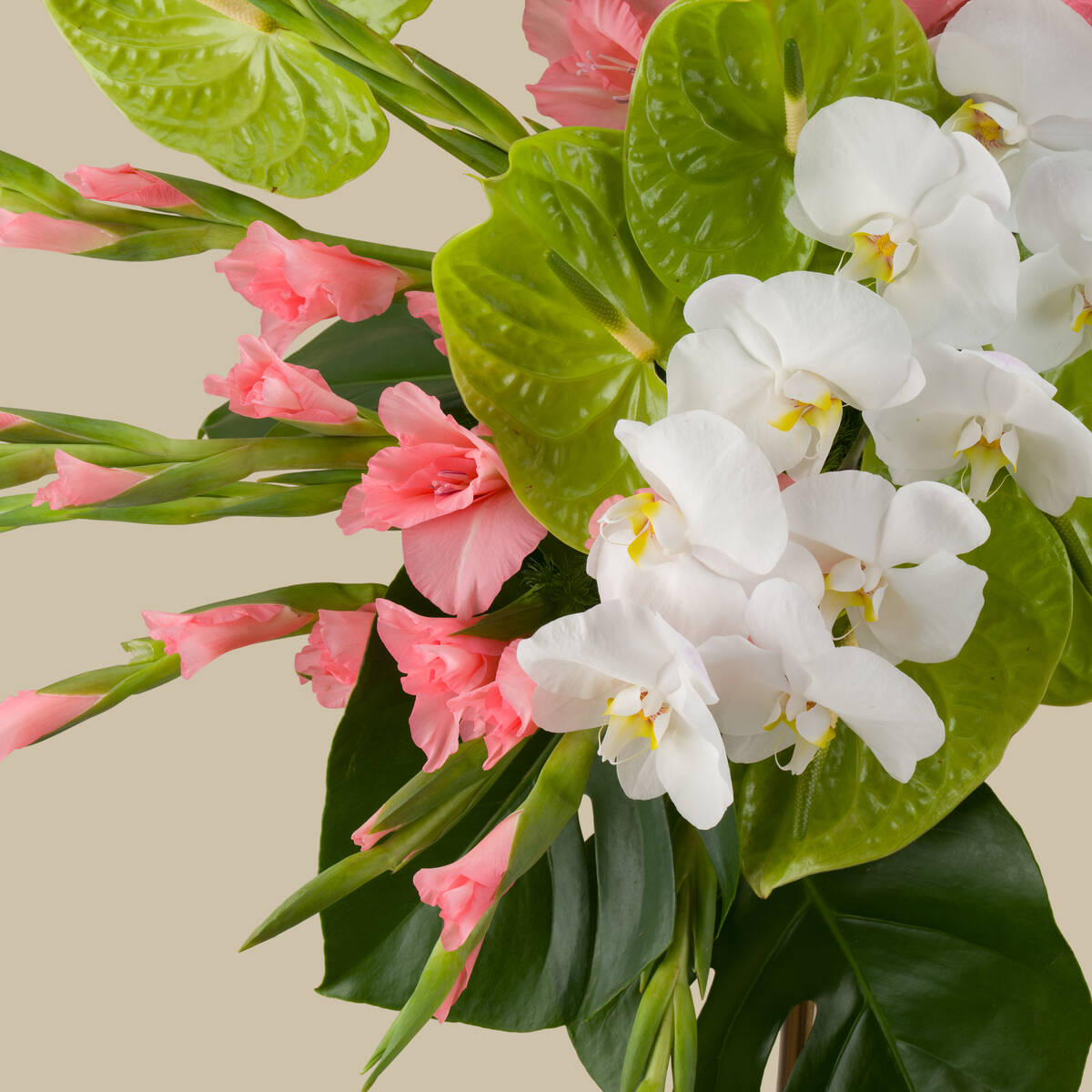 Mesmerizing Premium Vase Mesmerizing Premium Vase