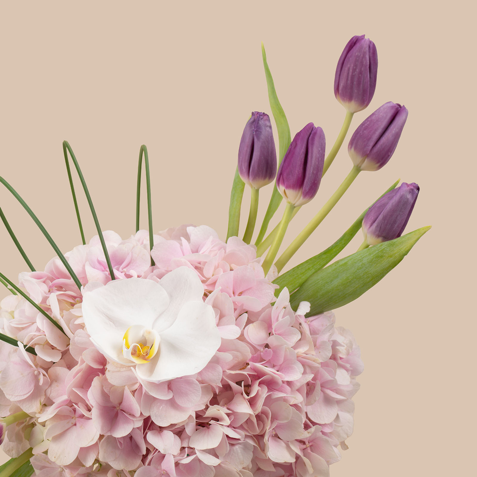 Feminine Violet Round Vase Feminine Violet Round Vase