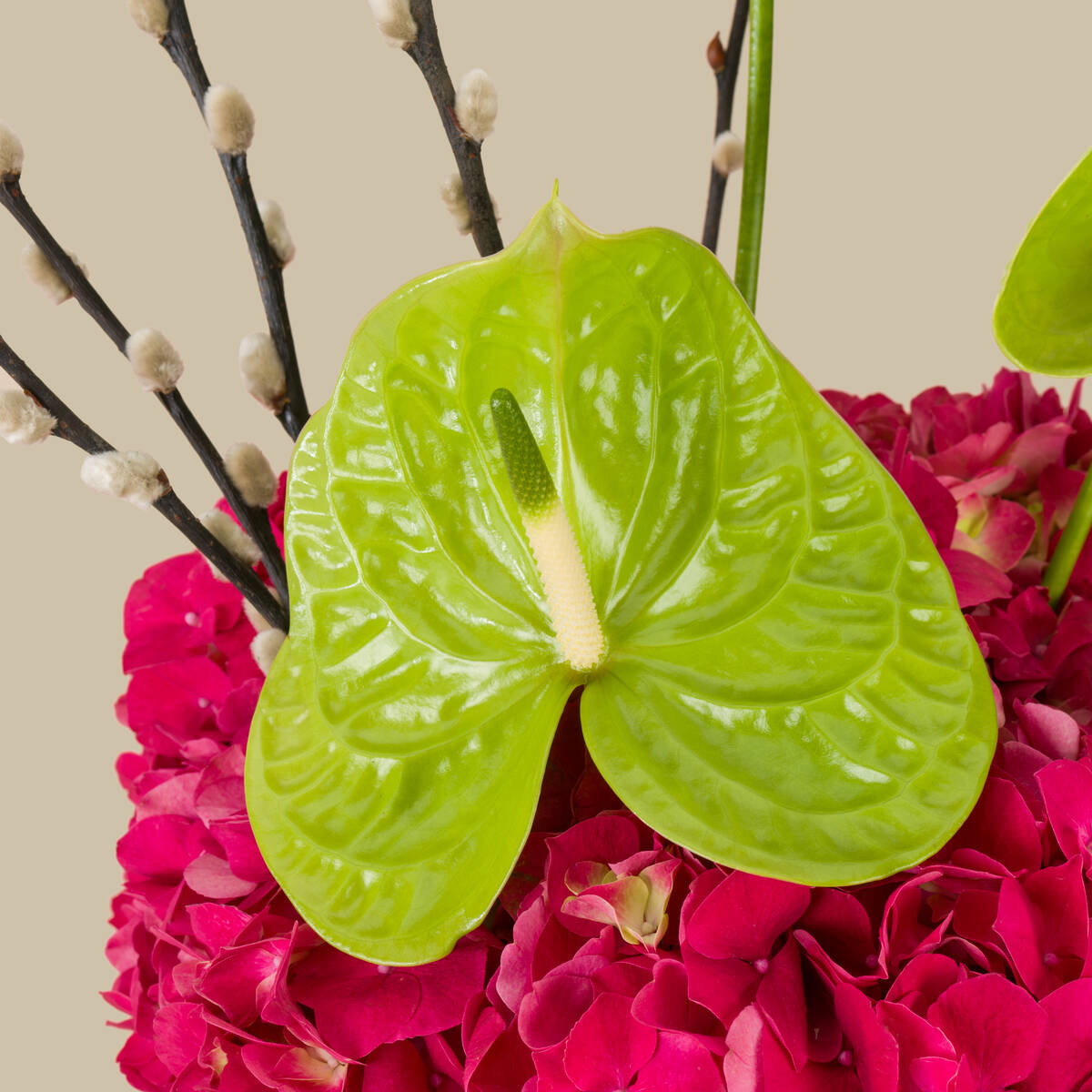 Seniorita Premium Vase Seniorita Premium Vase