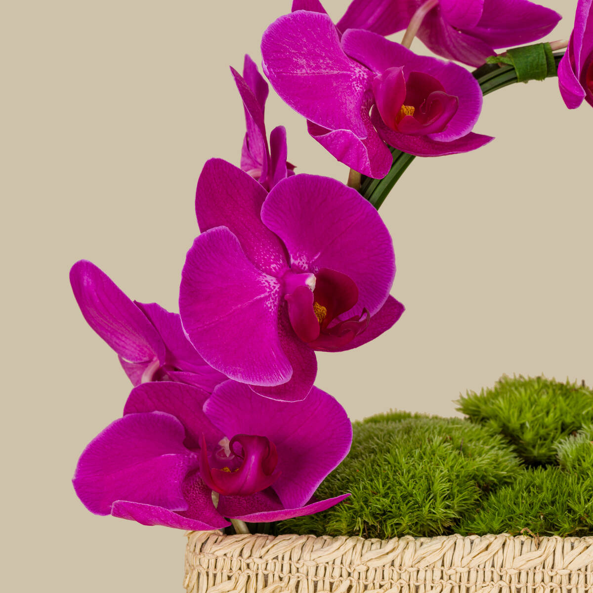 Life's Aroma Basket Life's Aroma Basket