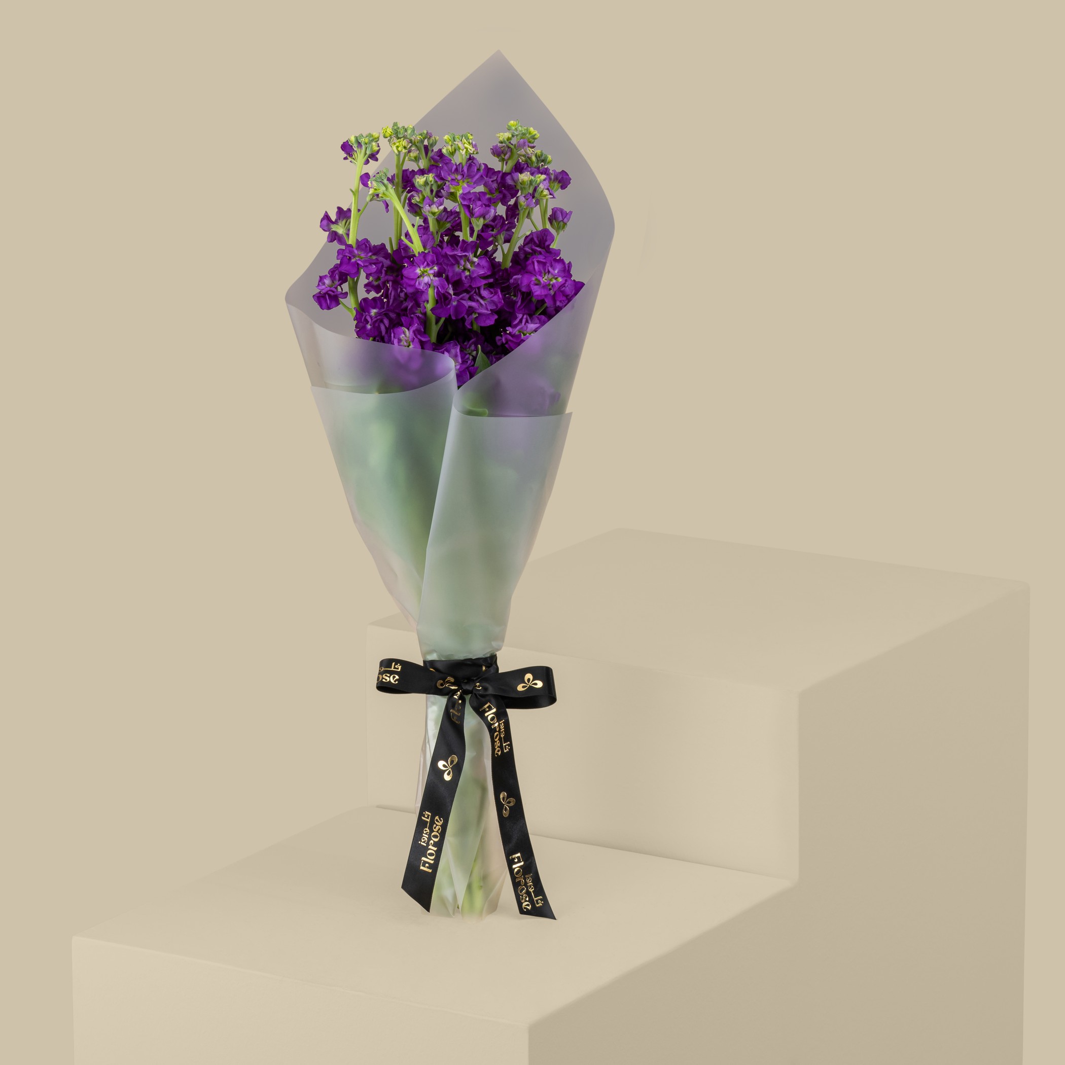 Dark Purple Matthiola Bouquet Dark Purple Matthiola Bouquet