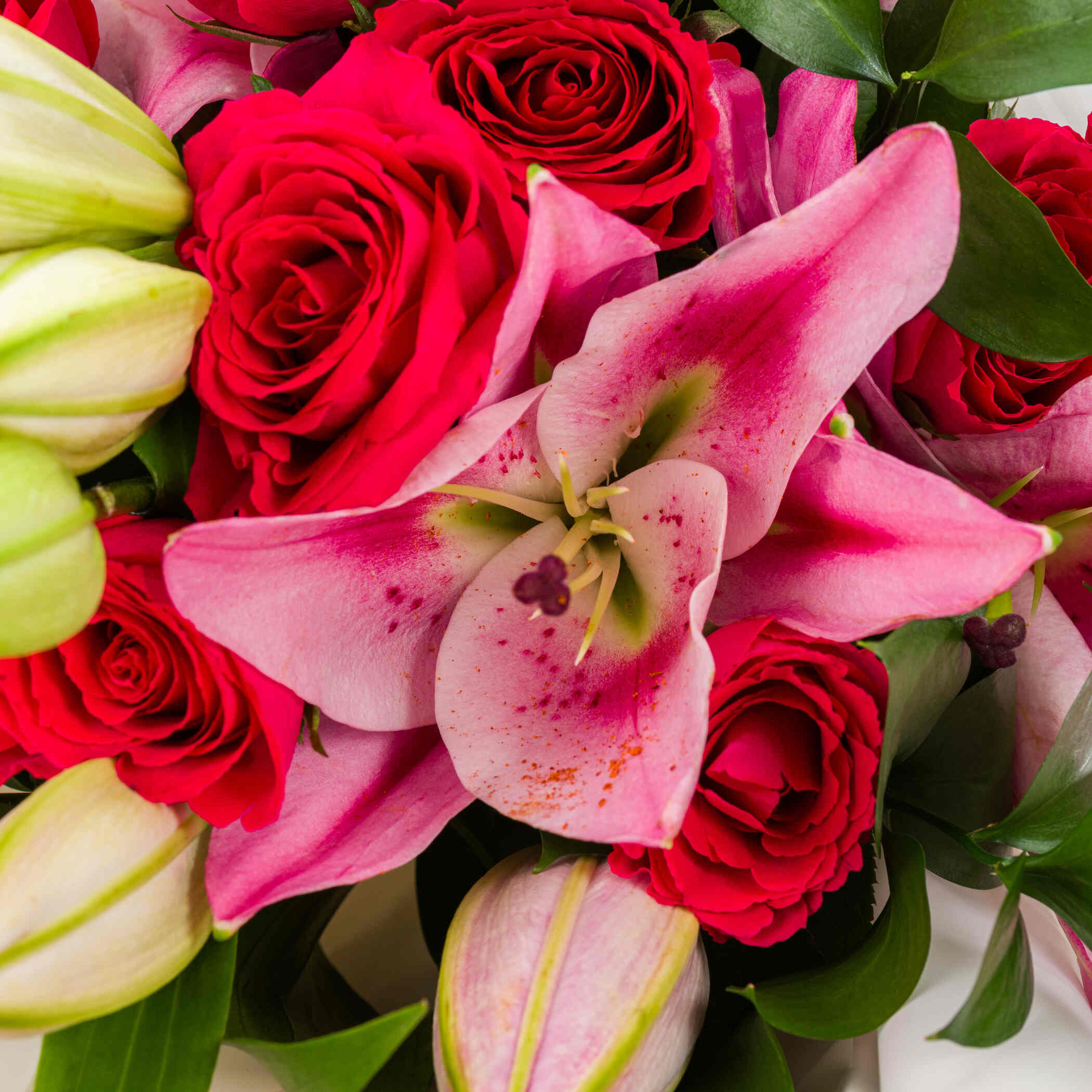 Opulent Harmony Bouquet Opulent Harmony Bouquet