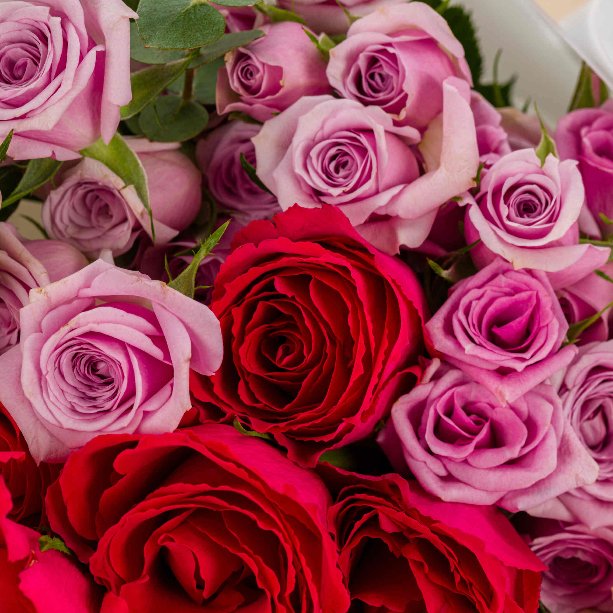 Heartfelt Emotions Bouquet Heartfelt Emotions Bouquet