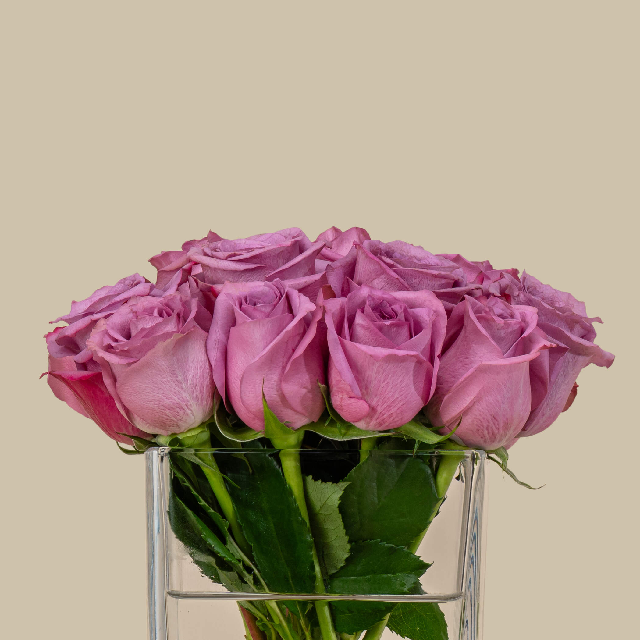 Elegant Rose Square Vase Purple | 15 Flowers Elegant Rose Square Vase Purple | 15 Flowers