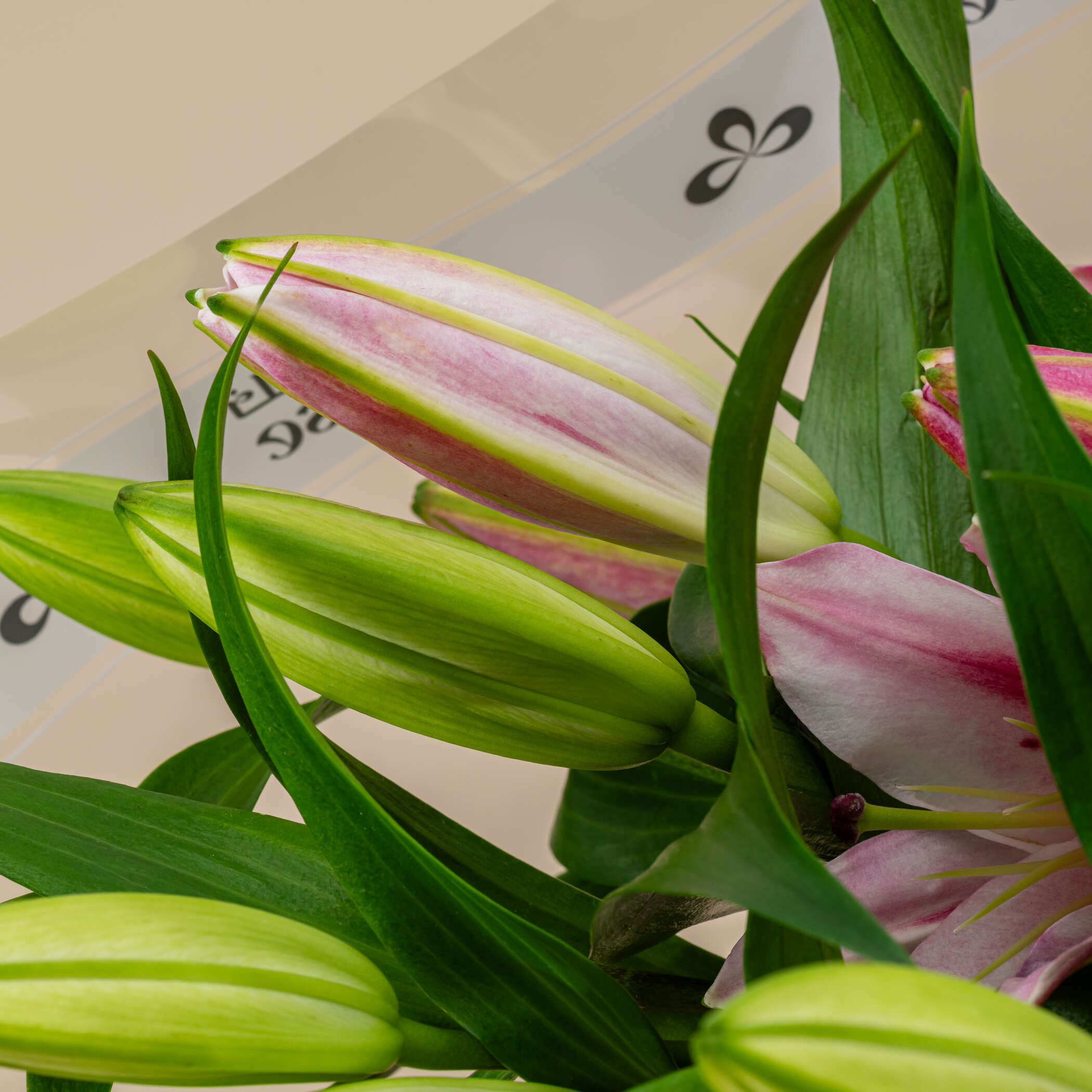 Pink Lily Bouquet Pink Lily Bouquet