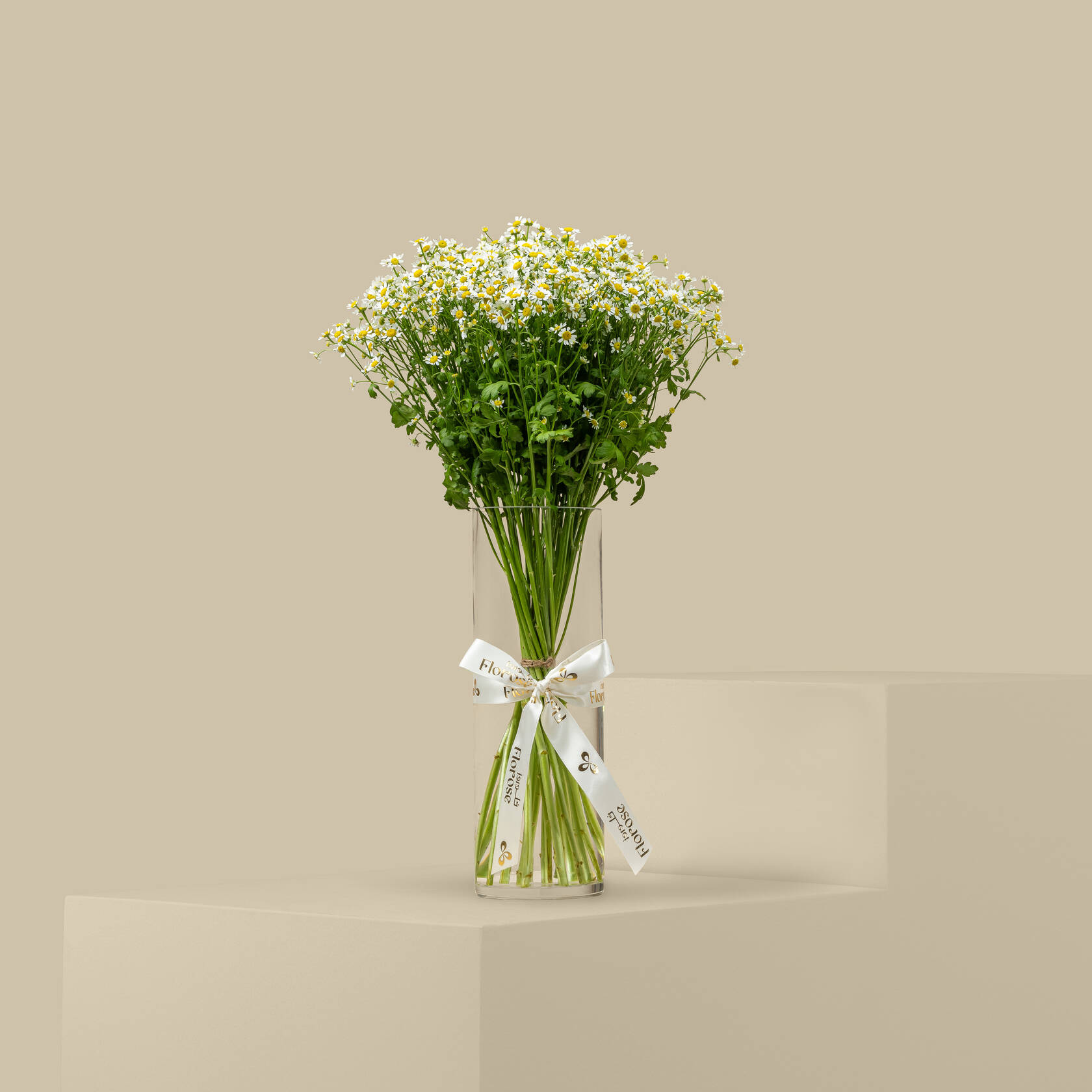 Tanacetum Vase Tanacetum Vase