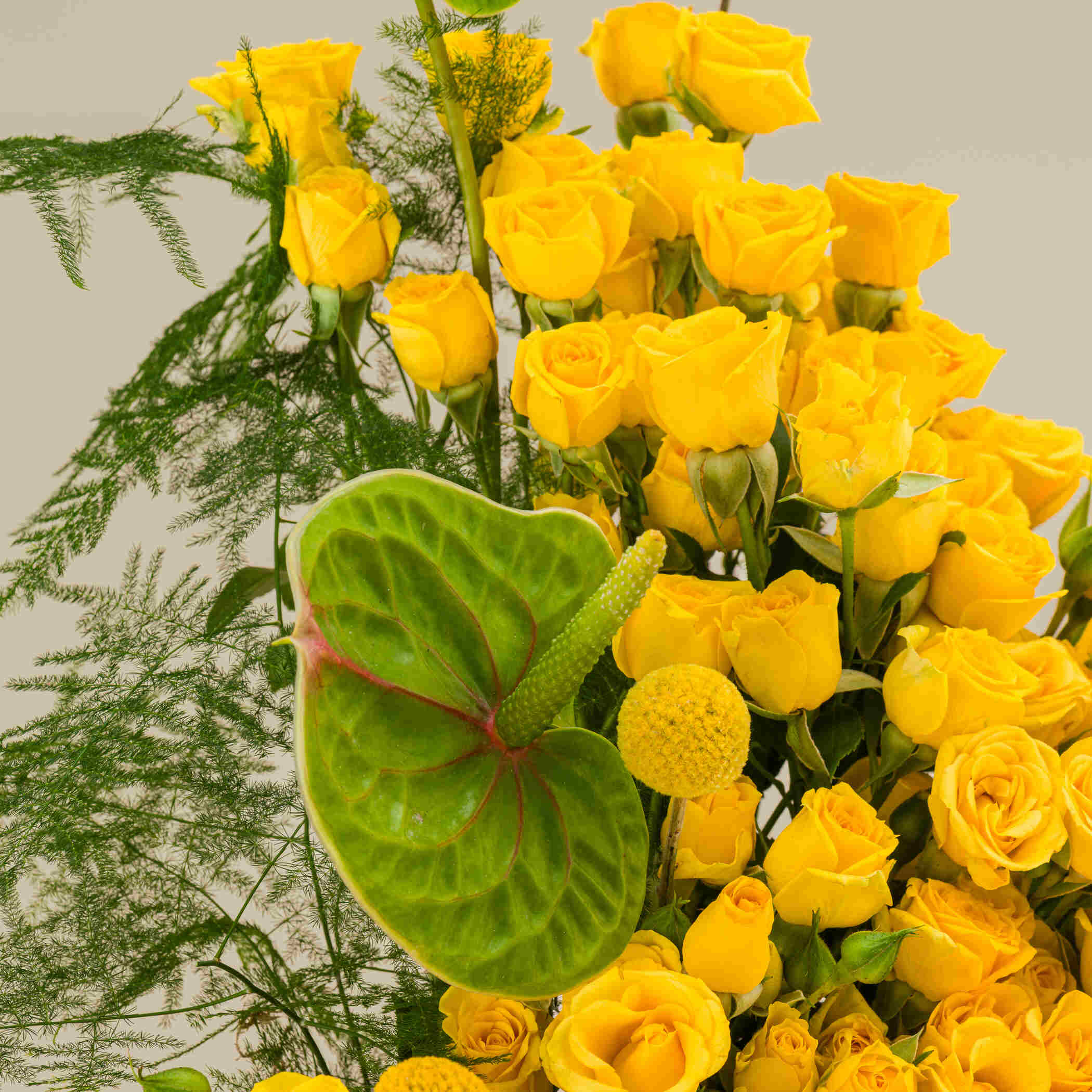 صندوق الرحيق الذهبي صندوق الرحيق الذهبي