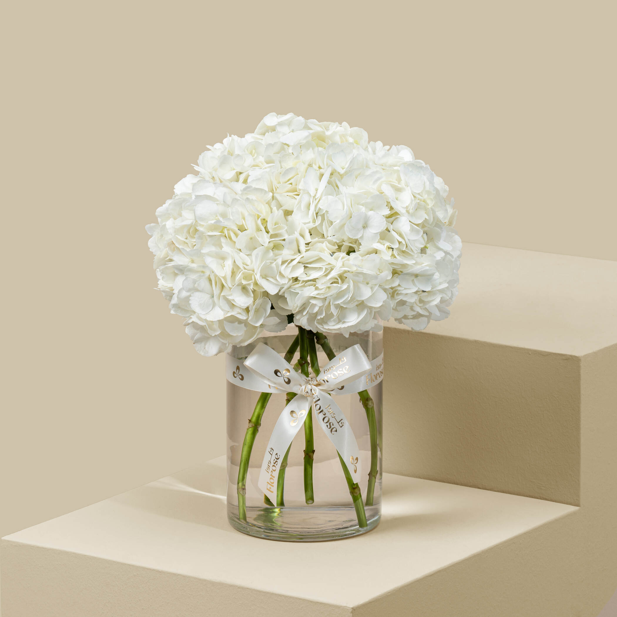 White Hydrangea Vase White Hydrangea Vase