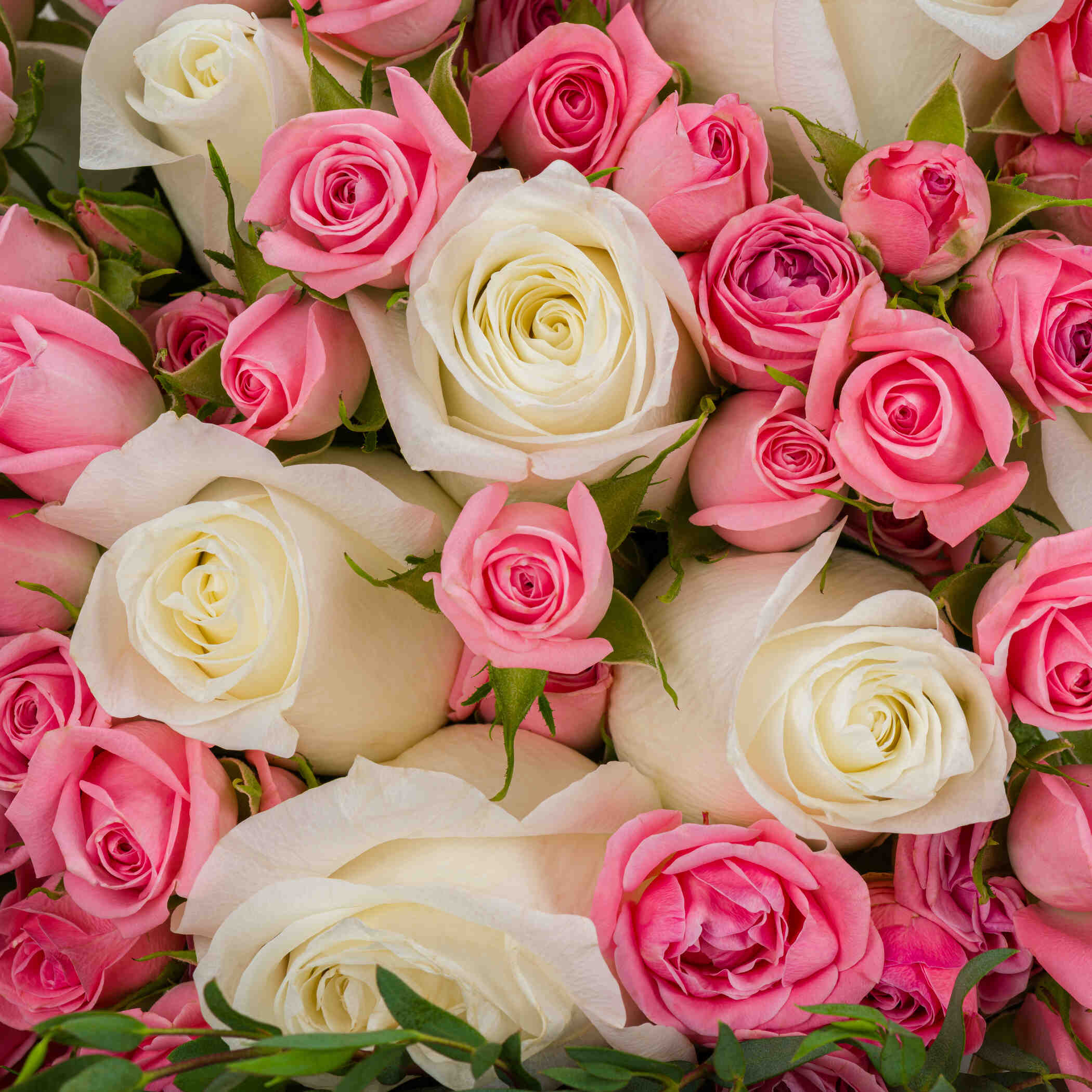 Touch Of Hope Bouquet Touch Of Hope Bouquet