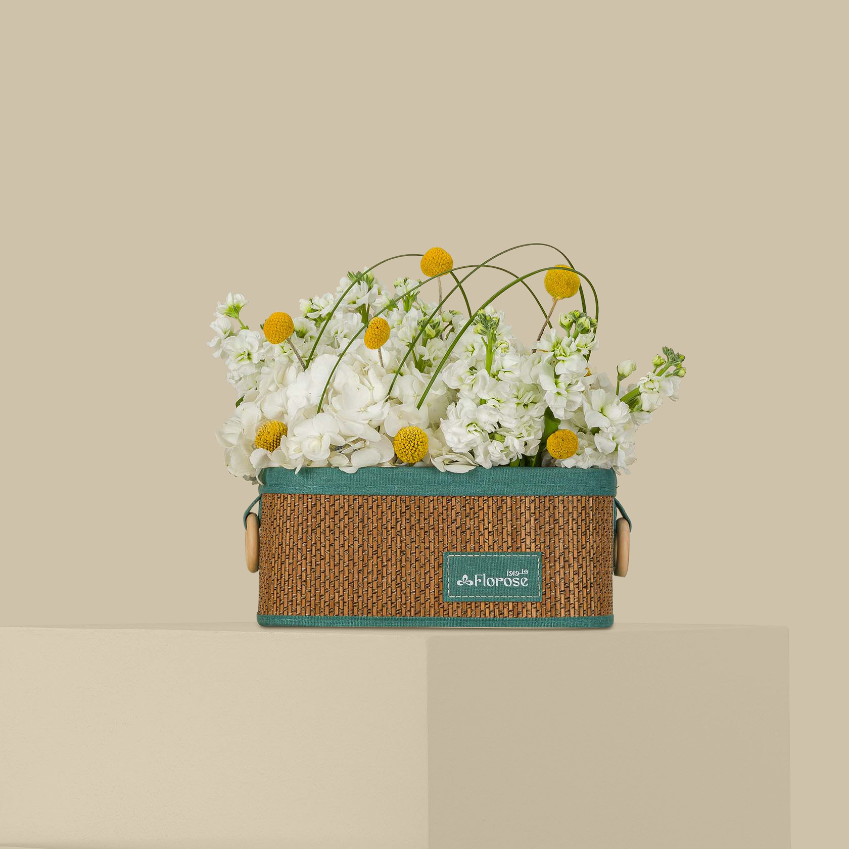 Peace Basket Peace Basket