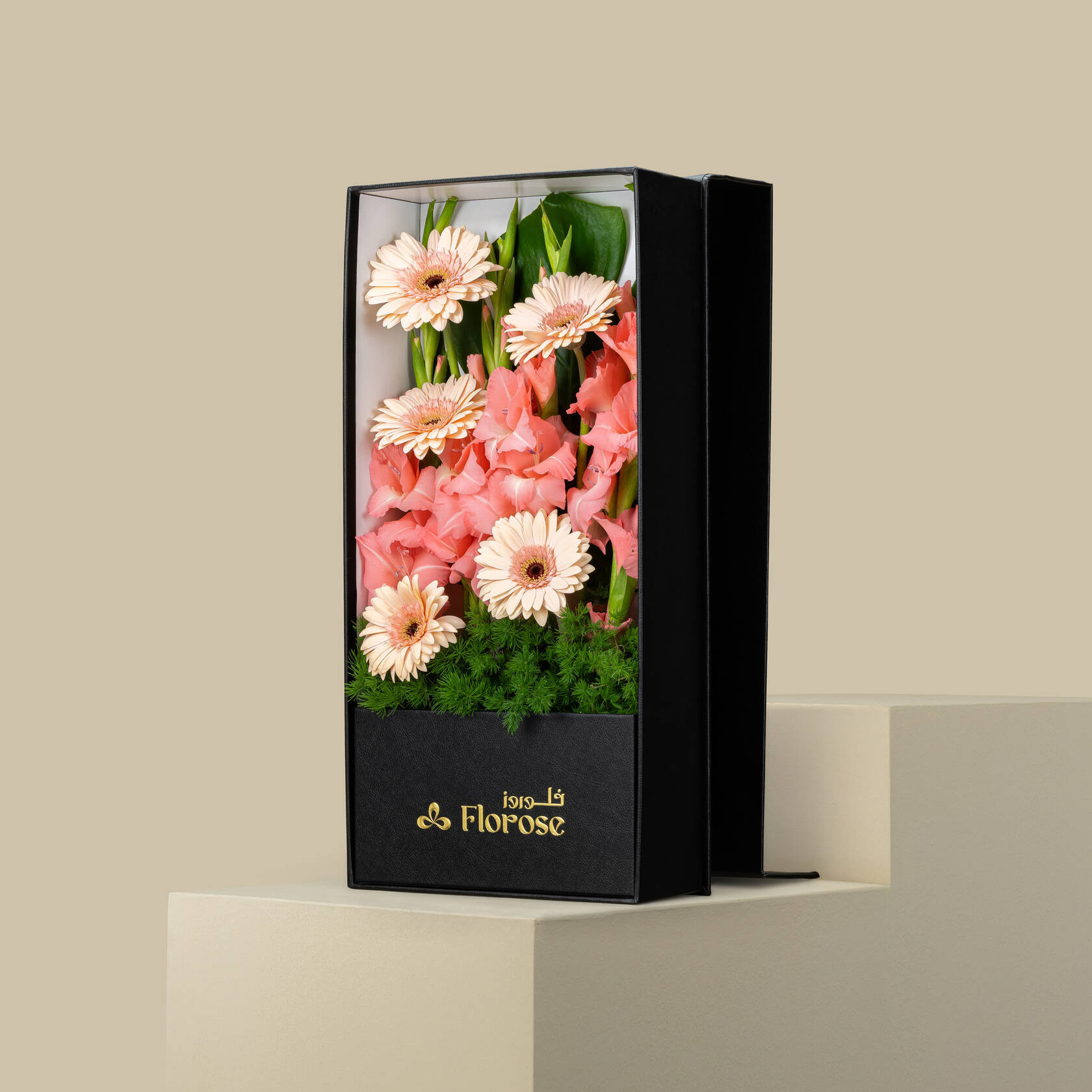 Soft Bloom Box Soft Bloom Box