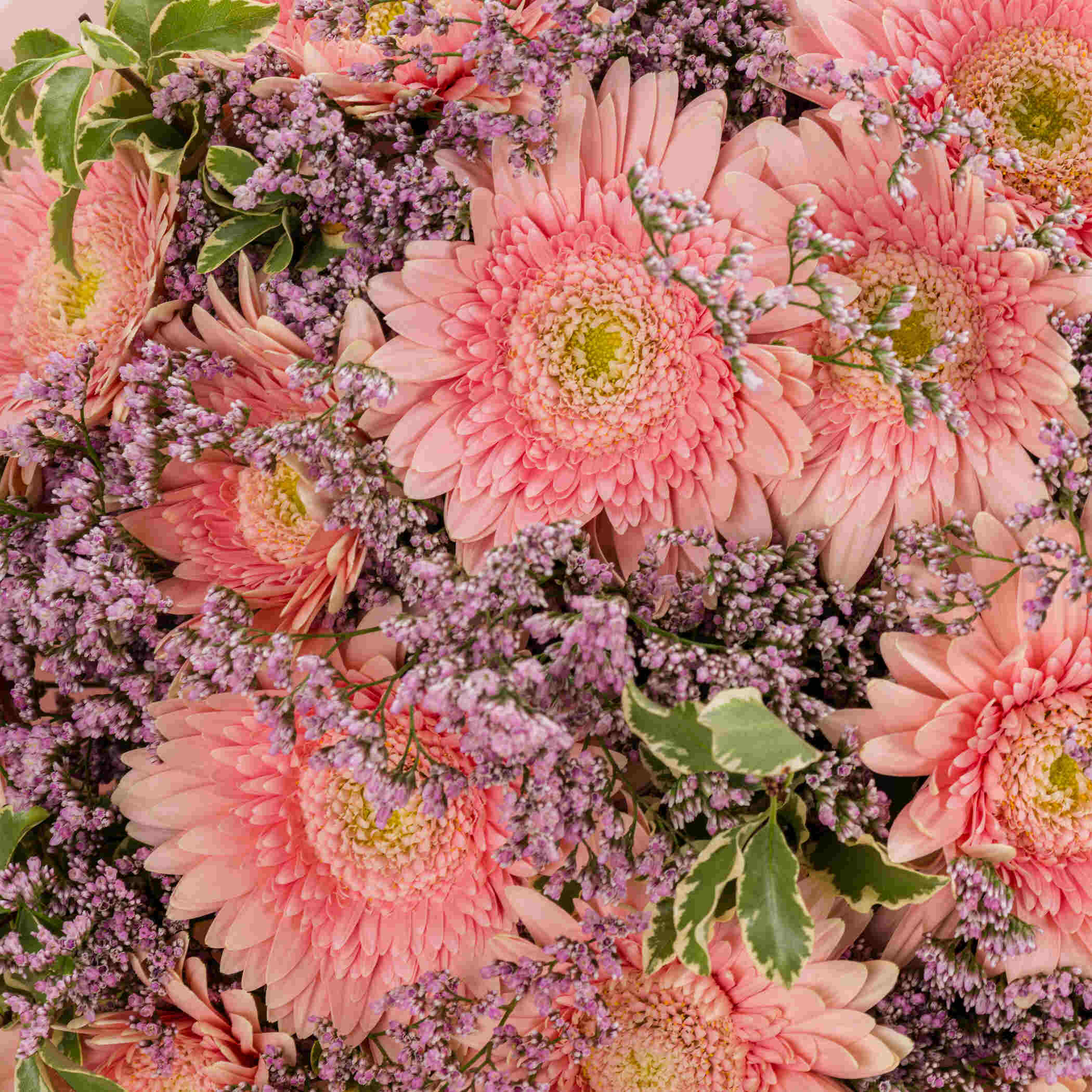 Warm Dream Bouquet Warm Dream Bouquet