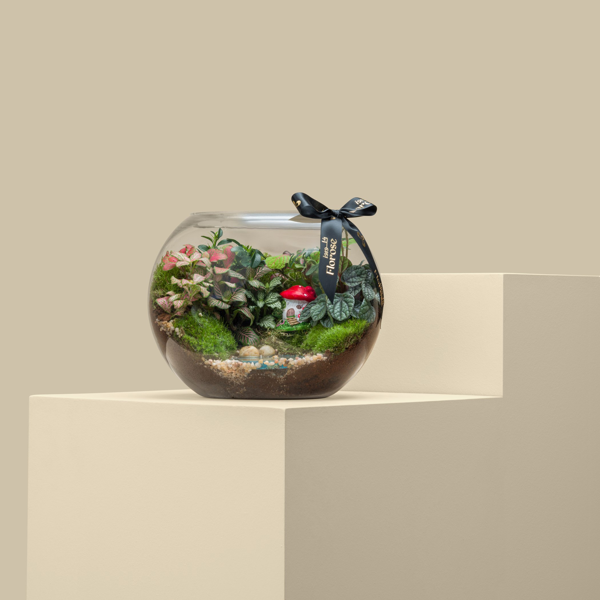 Terrarium Mushroom Forest | Large Terrarium Mushroom Forest | Large