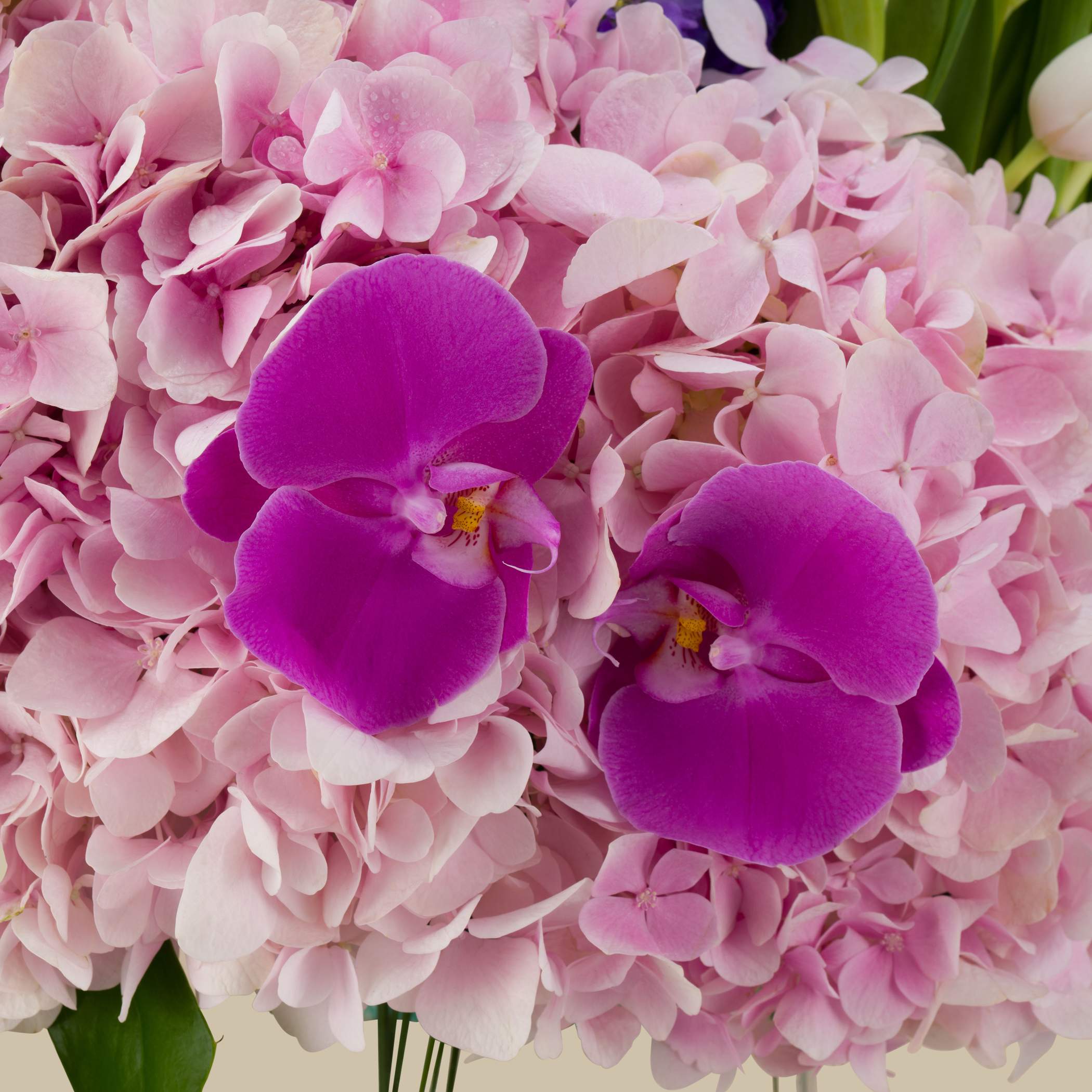 Heavenly Beauty Vase Heavenly Beauty Vase
