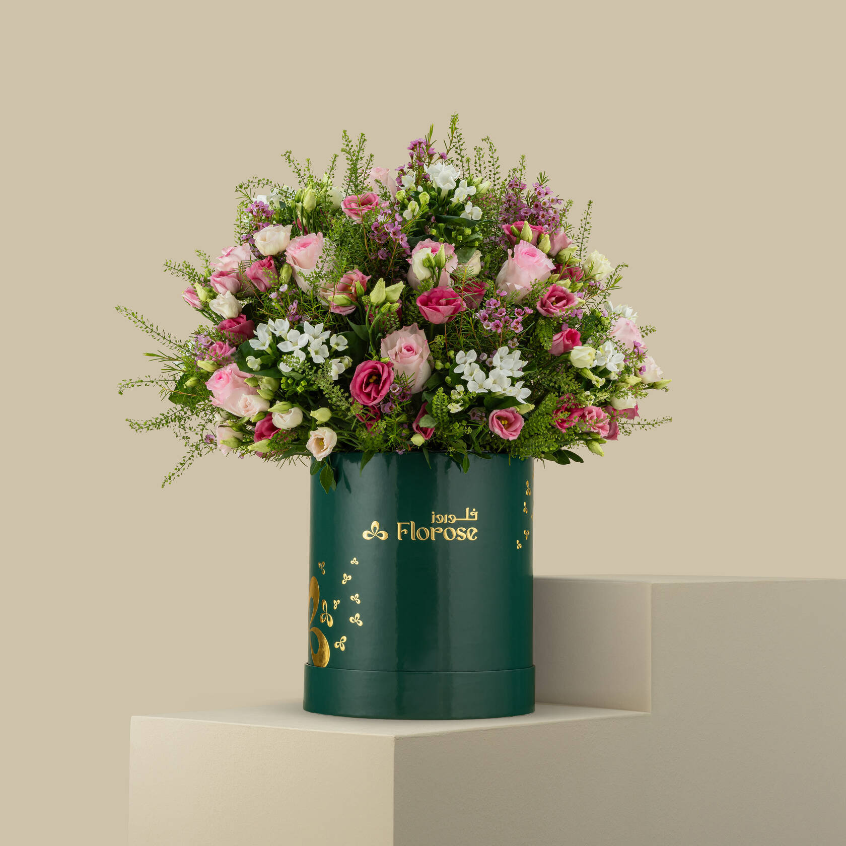 Elegance Box Elegance Box