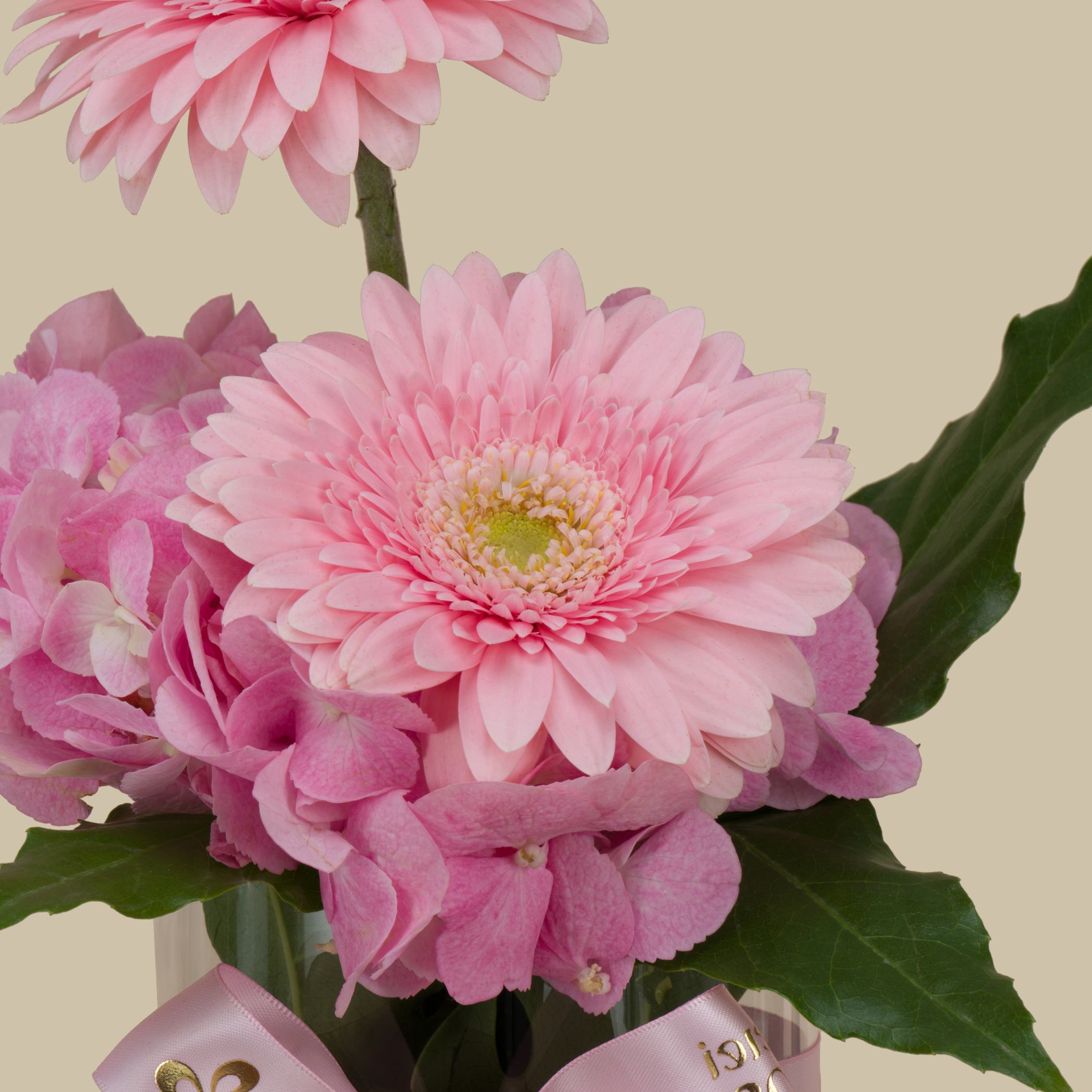 Patchi Chocolate | Beauty Blooms Patchi Chocolate | Beauty Blooms
