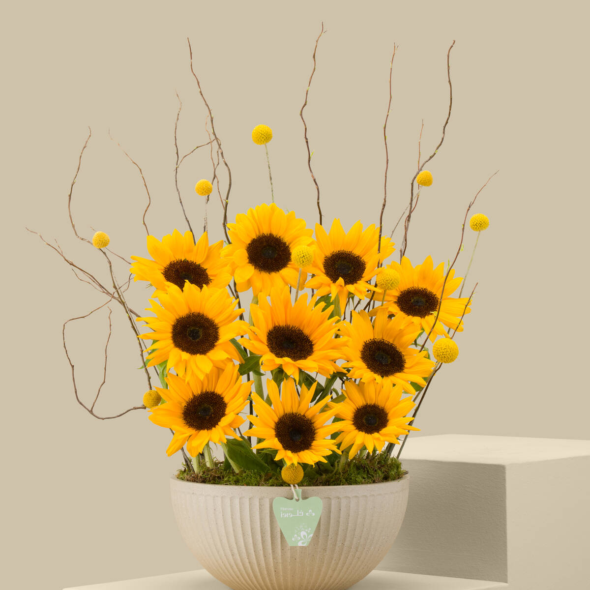 Golden Radiance Premium Vase Golden Radiance Premium Vase