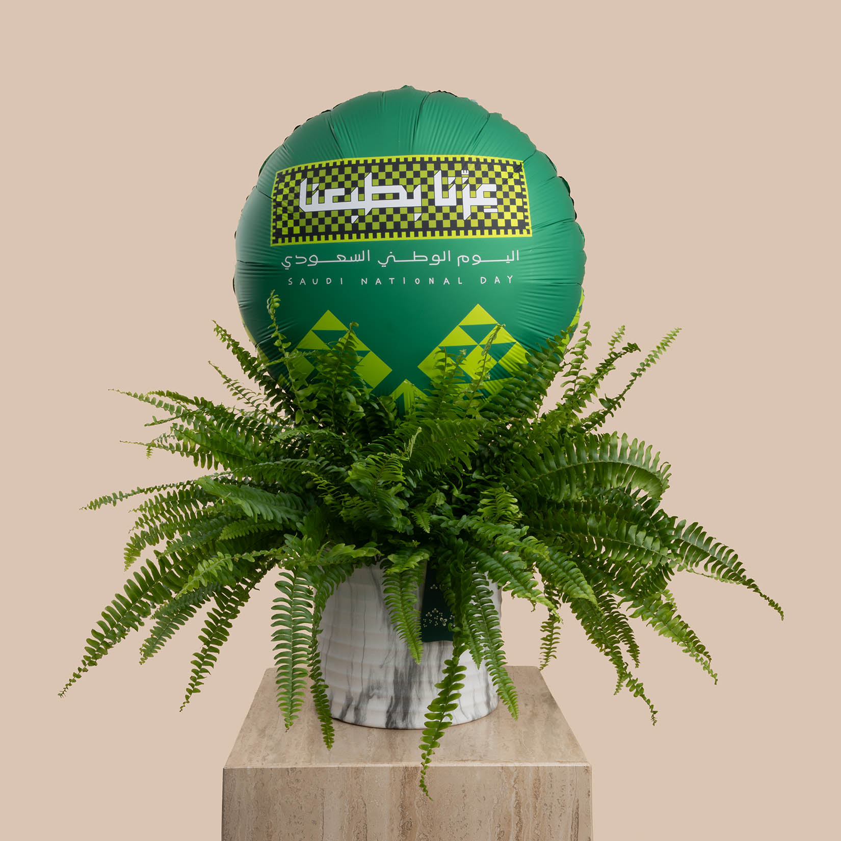 نبتة سرخس بوسطن | بالون اليوم الوطني السعودي نبتة سرخس بوسطن | بالون اليوم الوطني السعودي