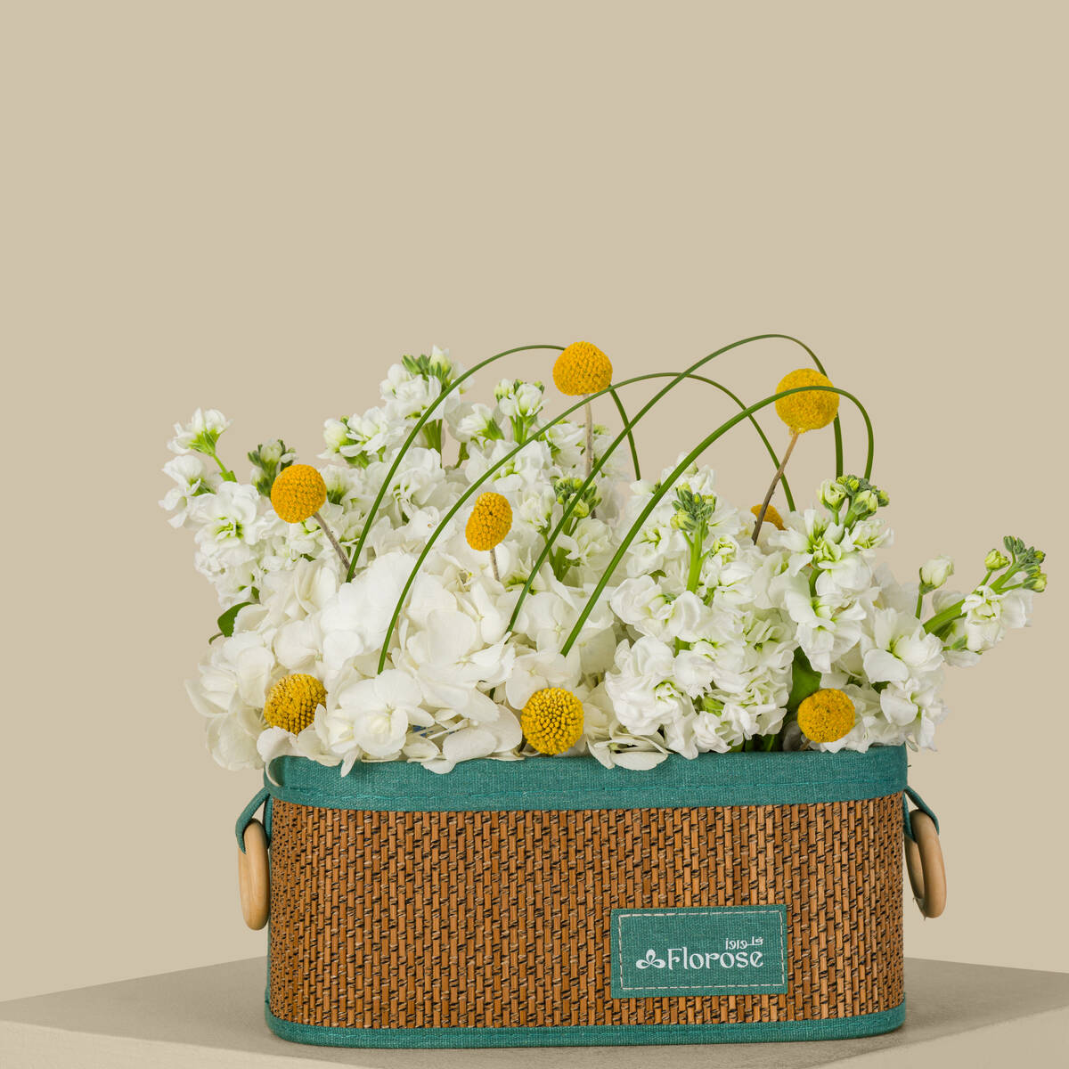 Peace Basket Peace Basket