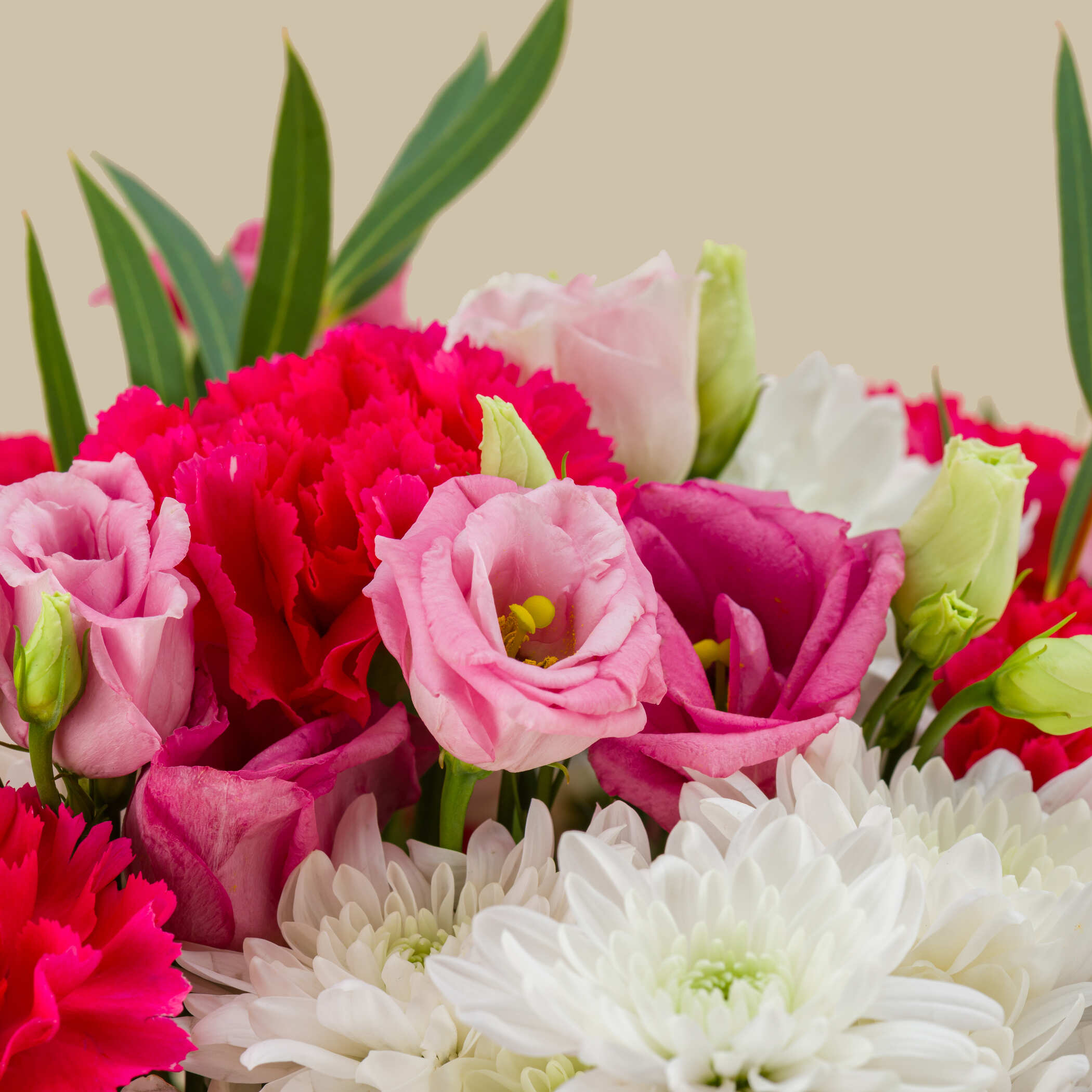 Pinkish Bloom Box Pinkish Bloom Box