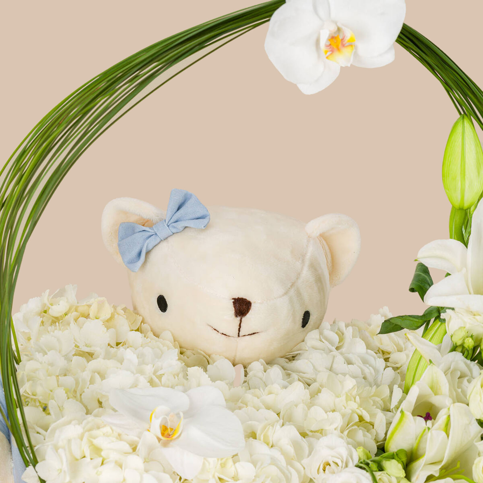 Hope Basket Hope Basket