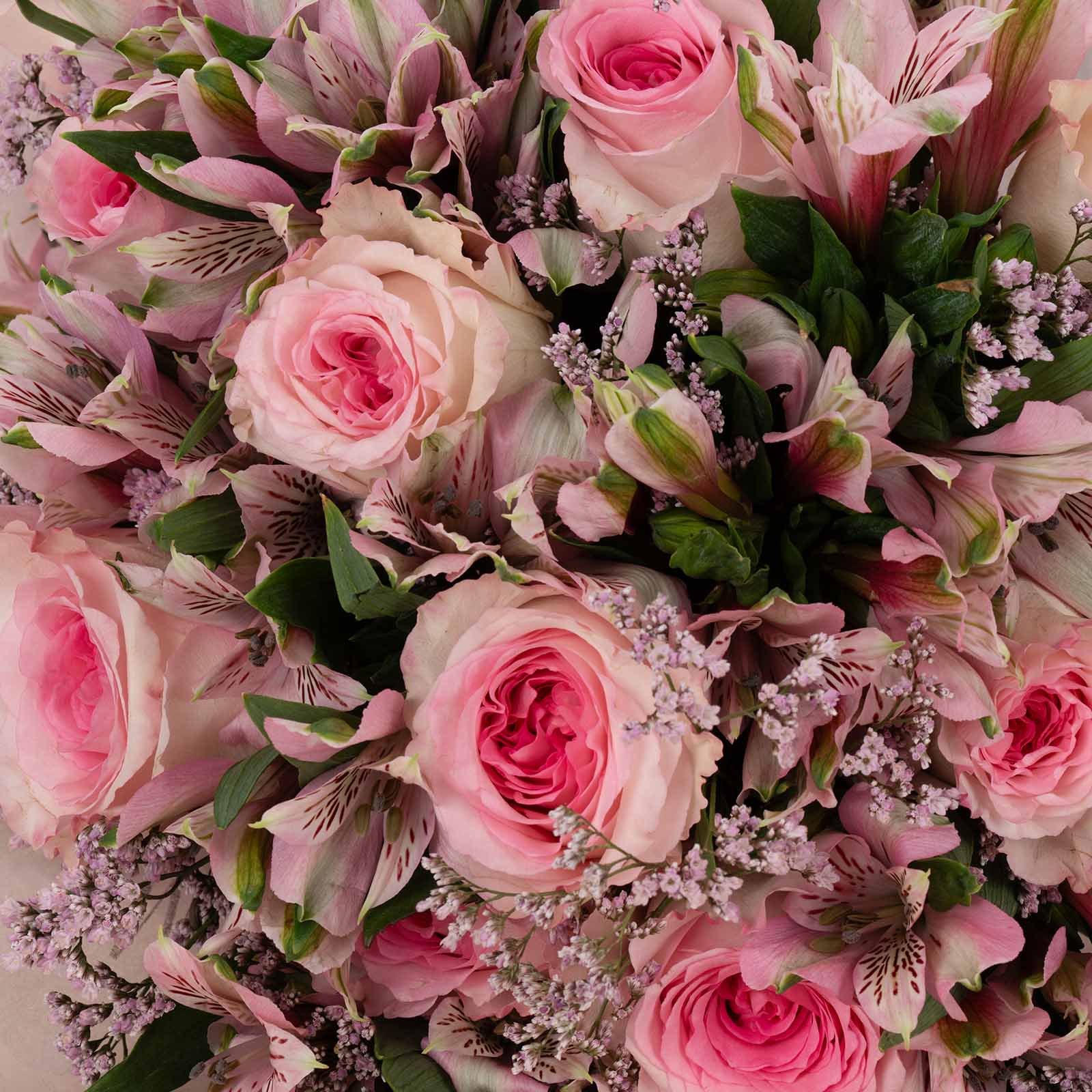 Soft Blooming Bouquet Soft Blooming Bouquet