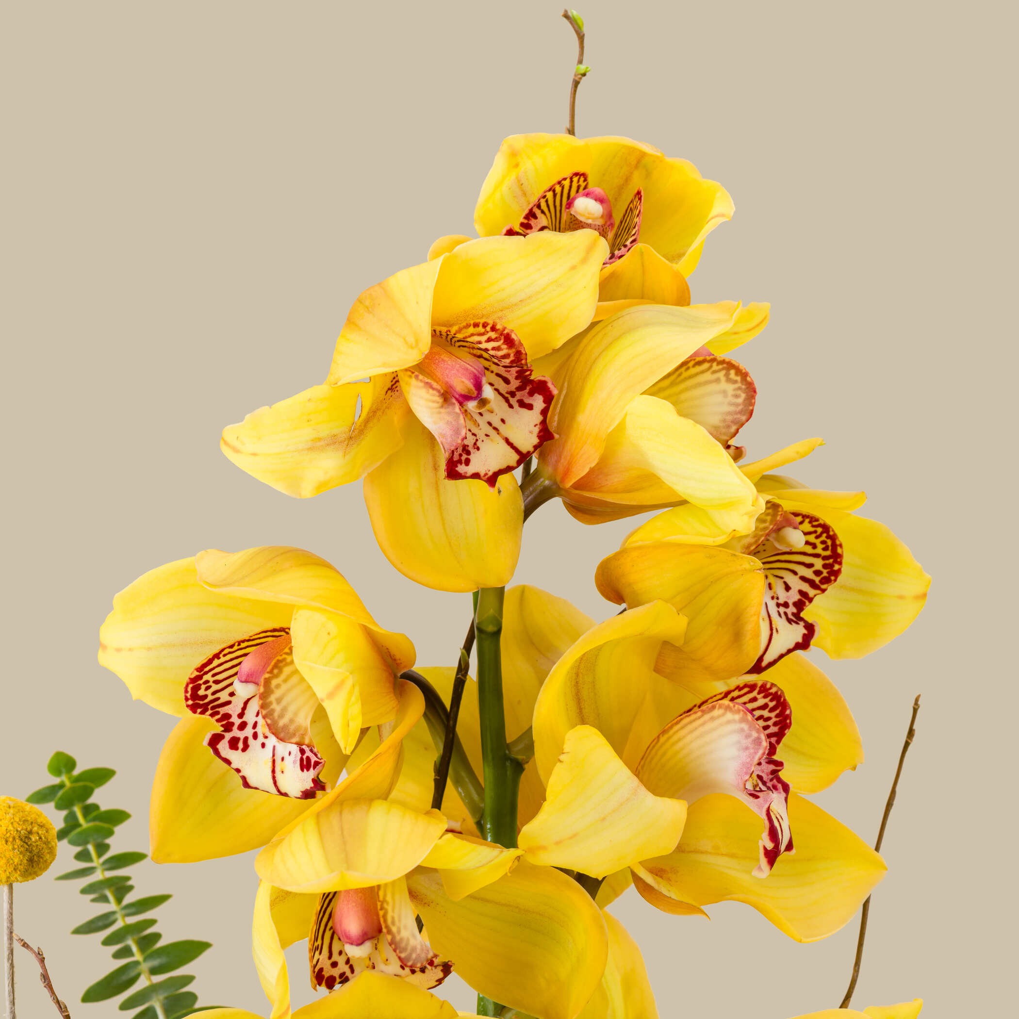 Joyful Melody Bouquet Joyful Melody Bouquet