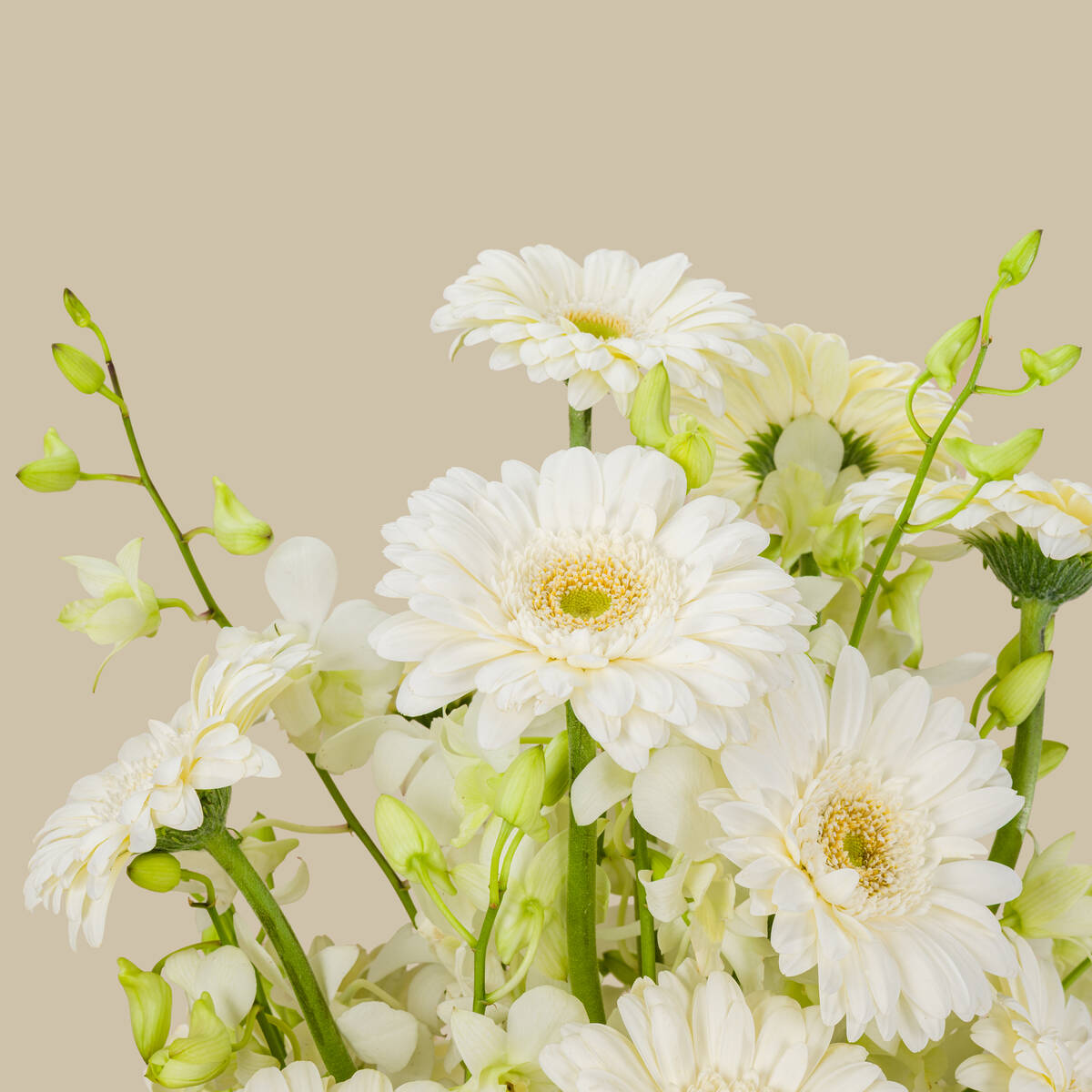 Bloom Sanata Basket Bloom Sanata Basket