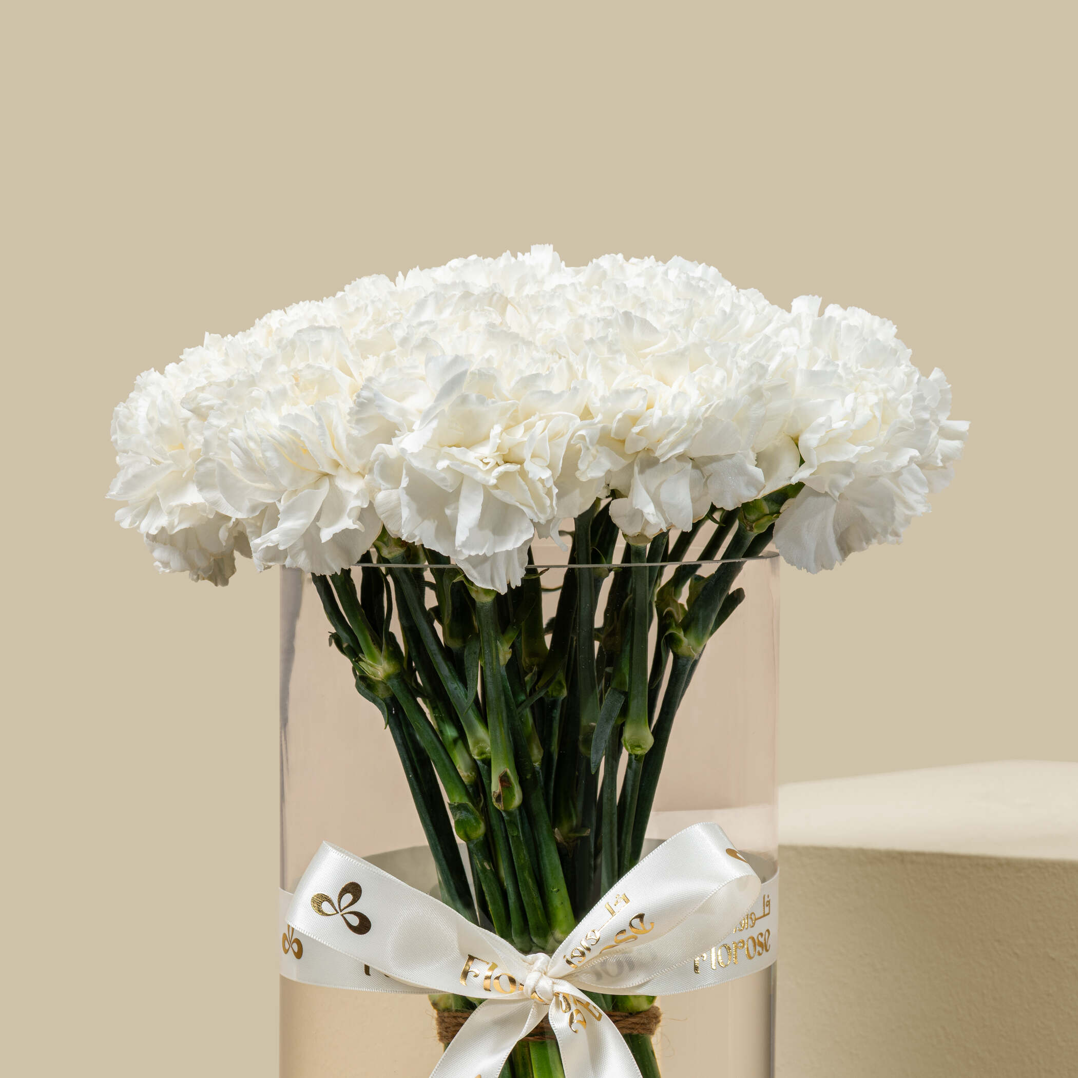Carnation White Vase Carnation White Vase