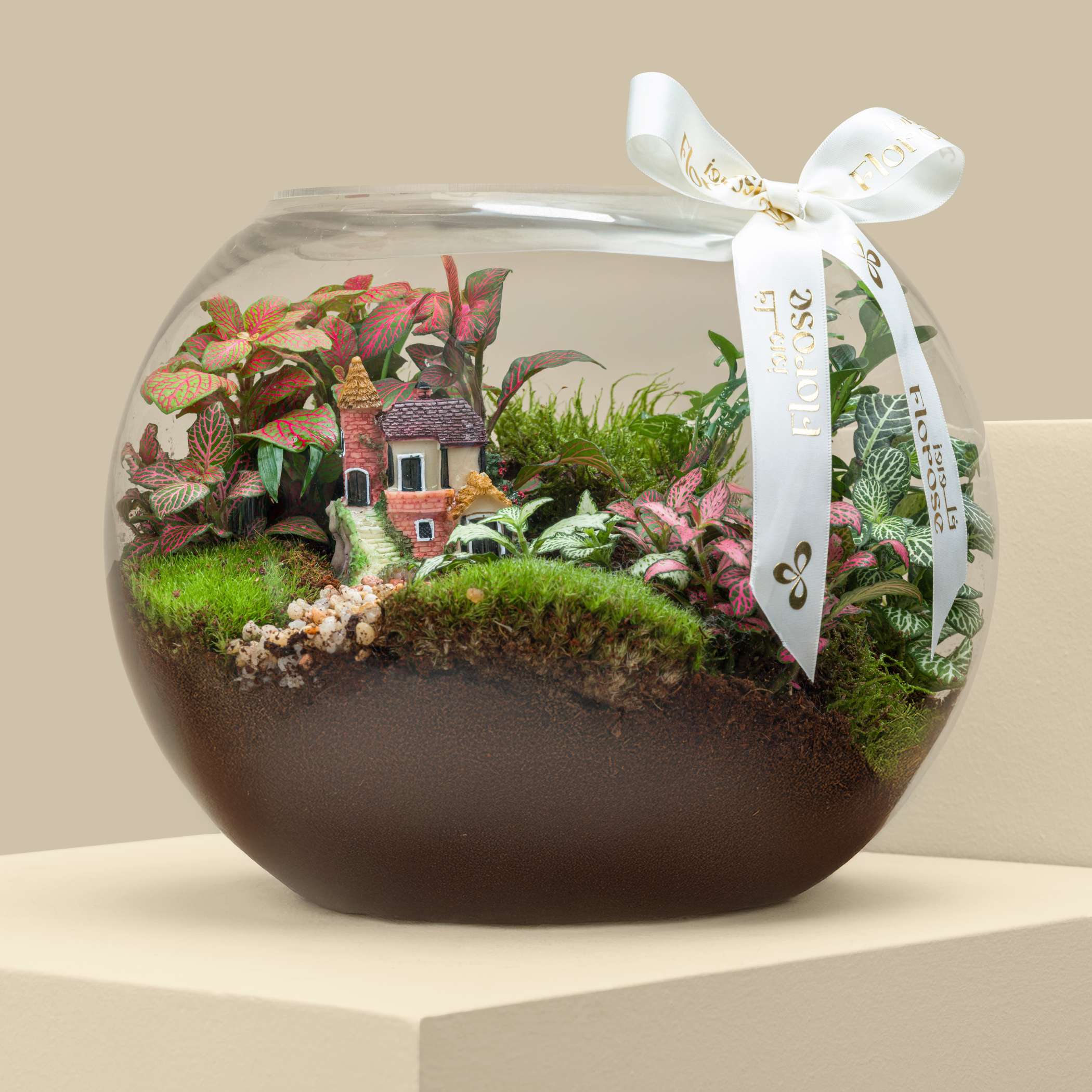 Terrarium Cottage Home Garden | Large Terrarium Cottage Home Garden | Large