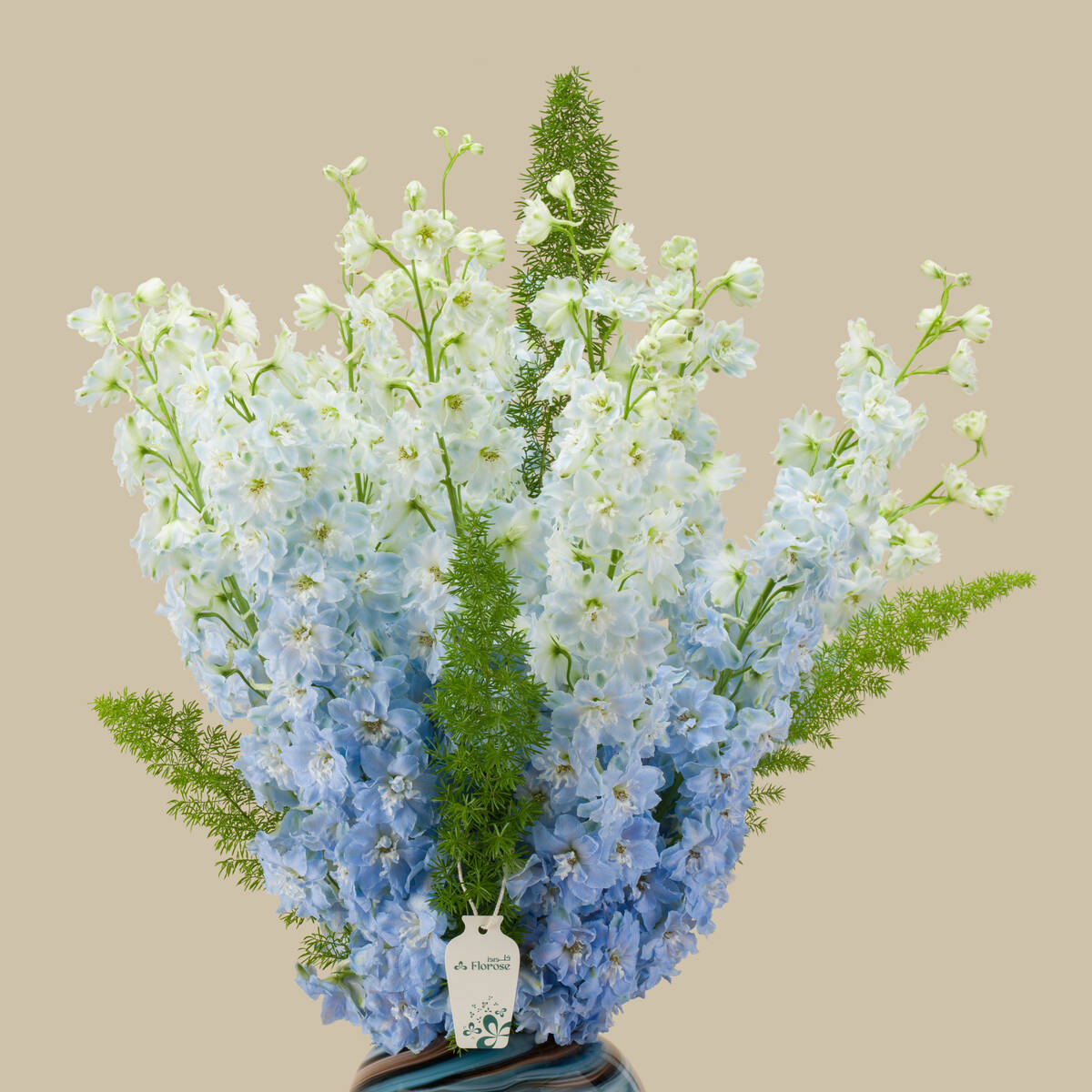 Eternity Secret Premium Vase Eternity Secret Premium Vase