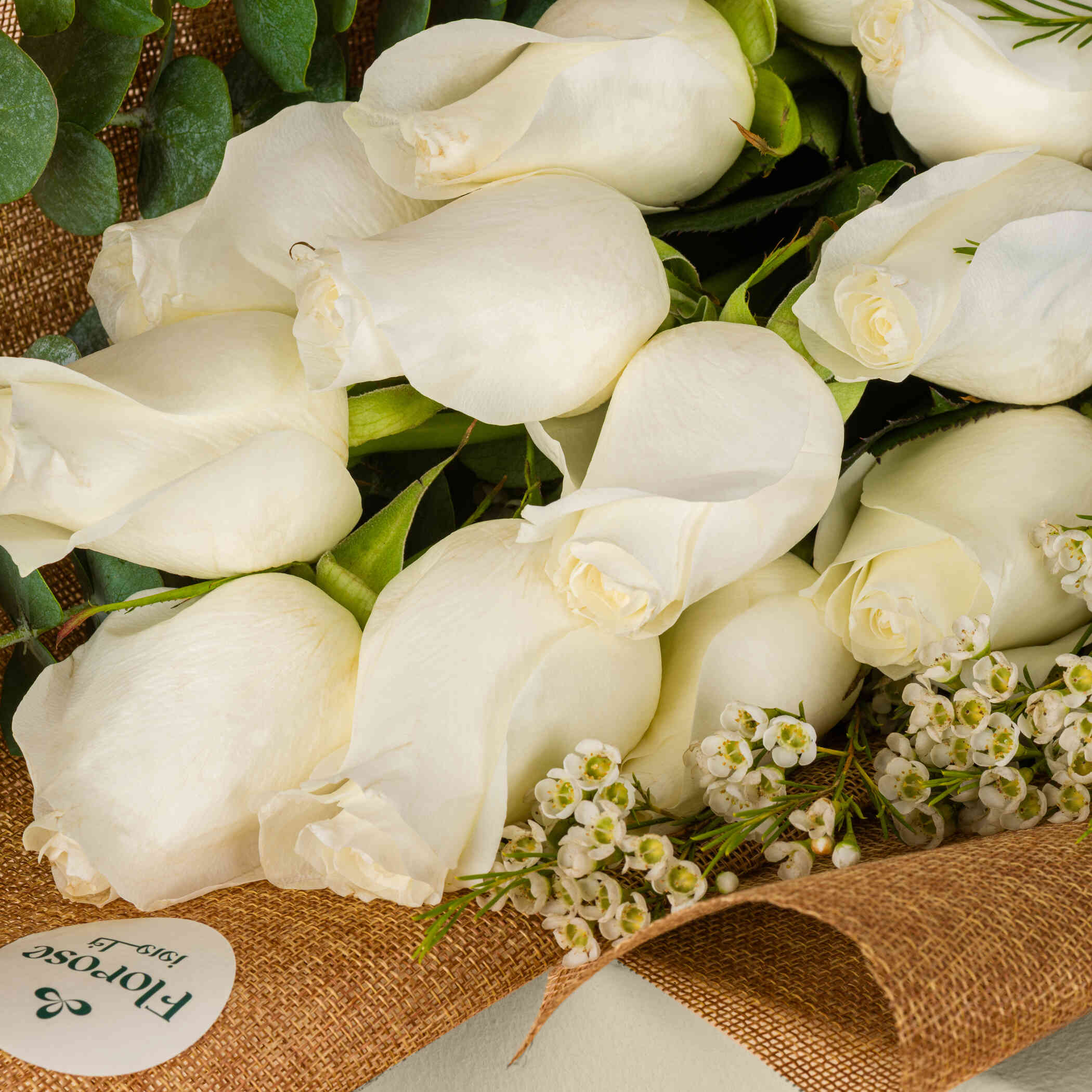 Shining Moon Bouquet Shining Moon Bouquet