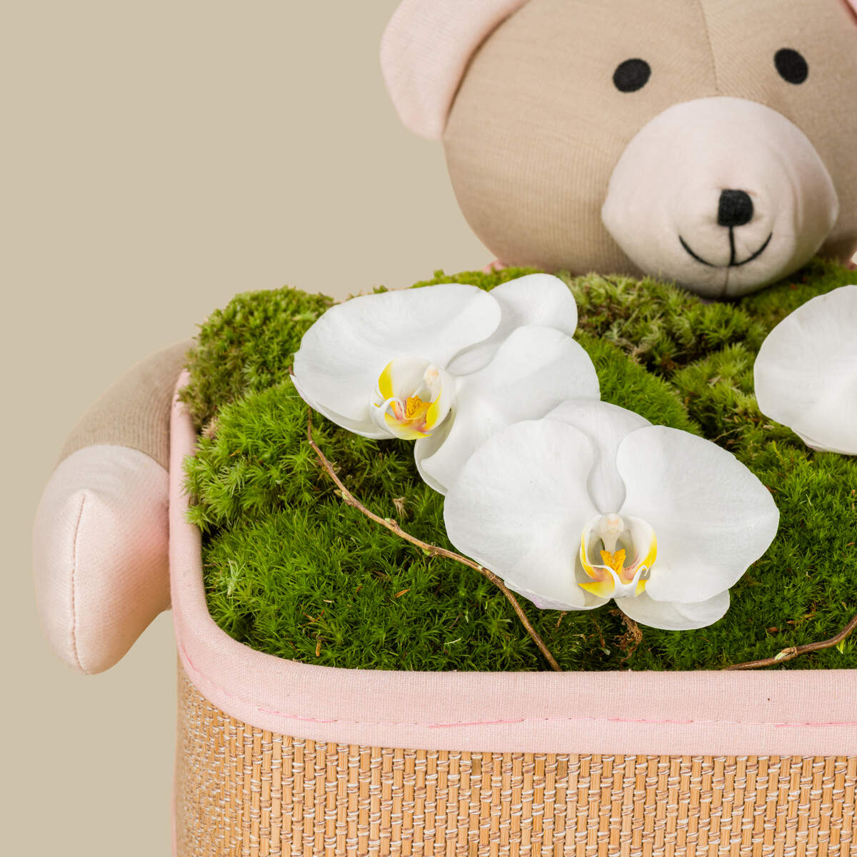 Calmness Basket Calmness Basket
