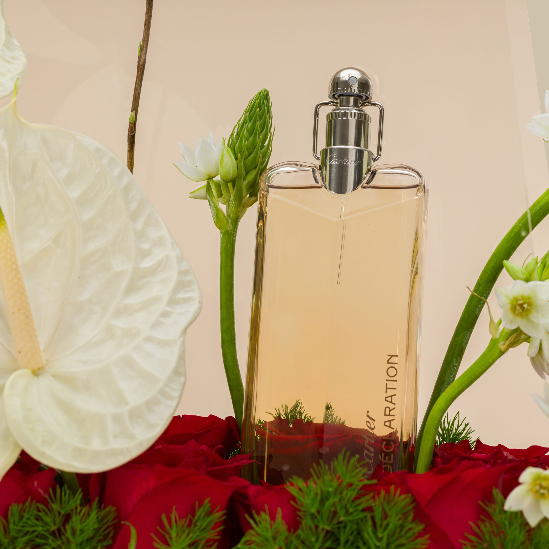 عطر دكلاريشن كارتير | حقيبة أكريلك الجمال الرقيق عطر دكلاريشن كارتير | حقيبة أكريلك الجمال الرقيق